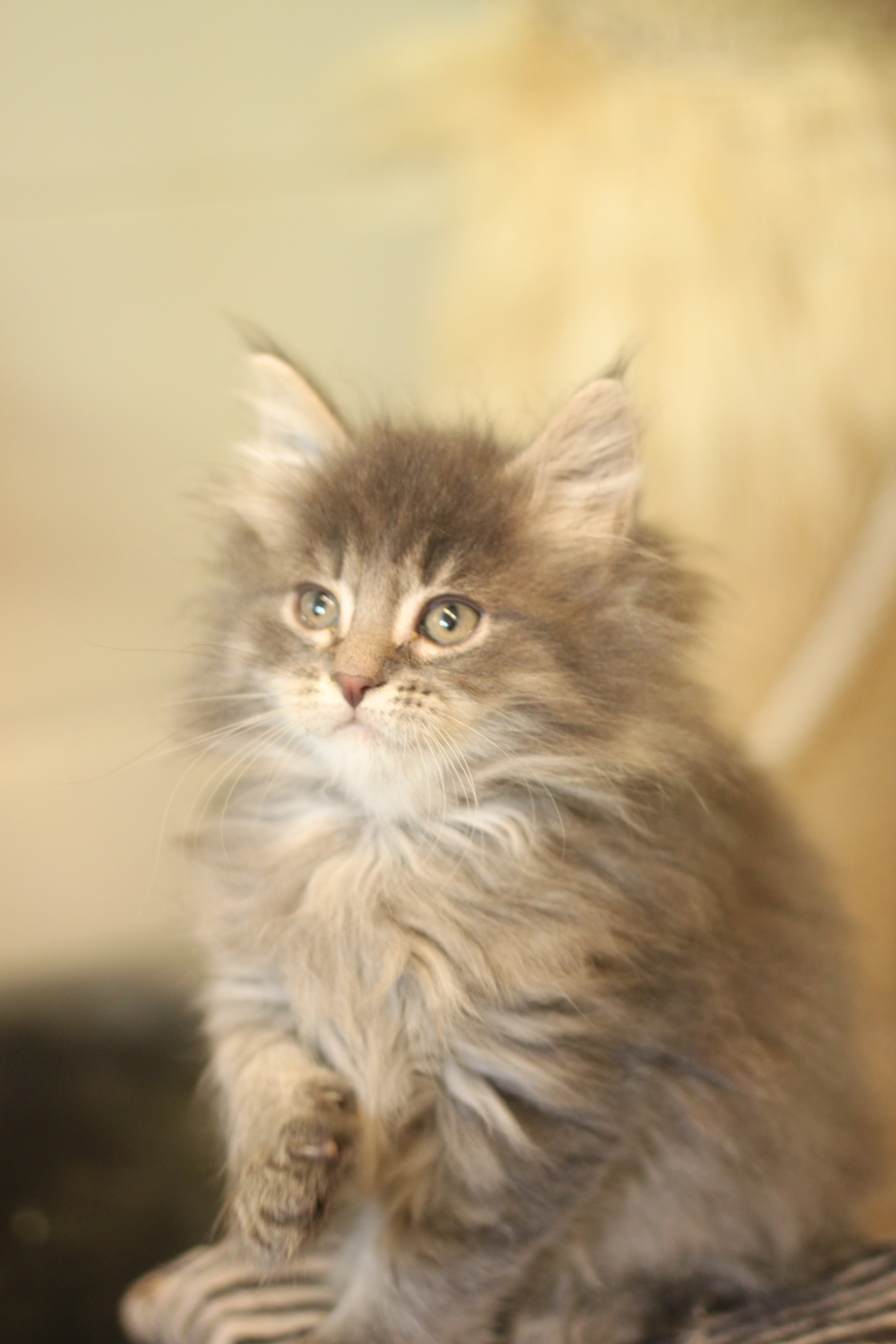 Naissance du 1er janvier 2026