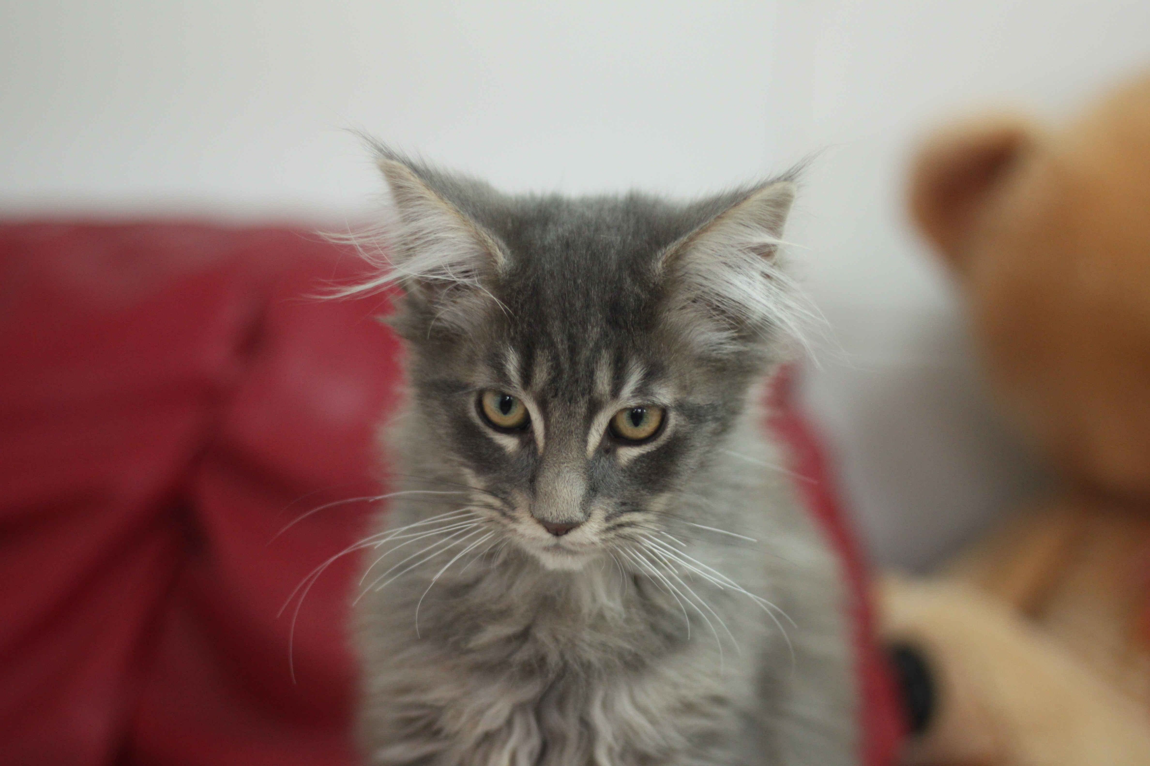 Naissance du 6 juillet 2025