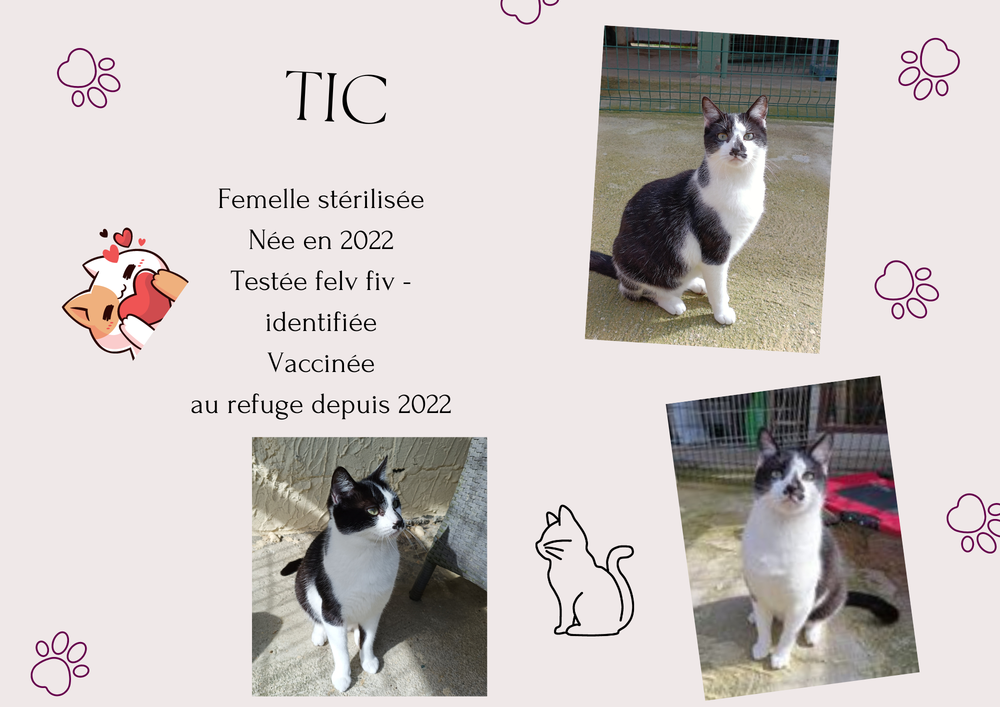 Tic