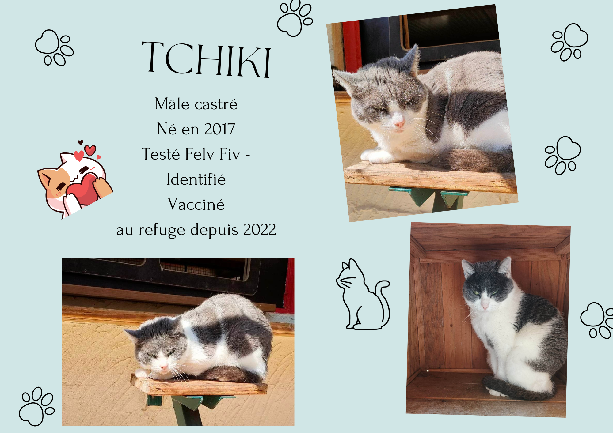 Tchiki