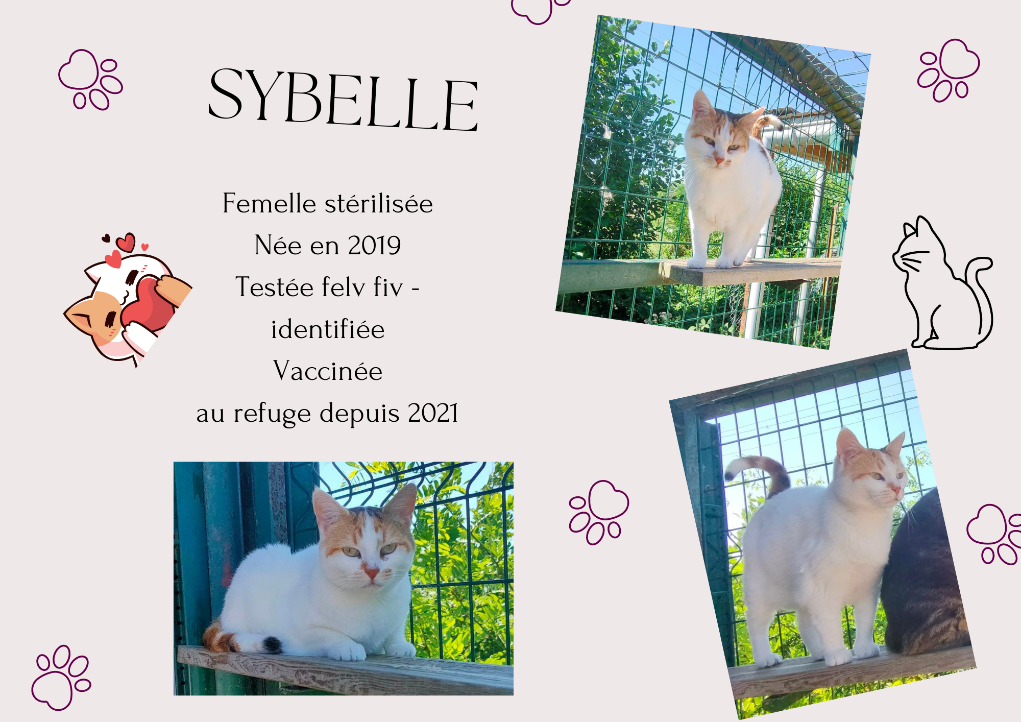 Sybelle
