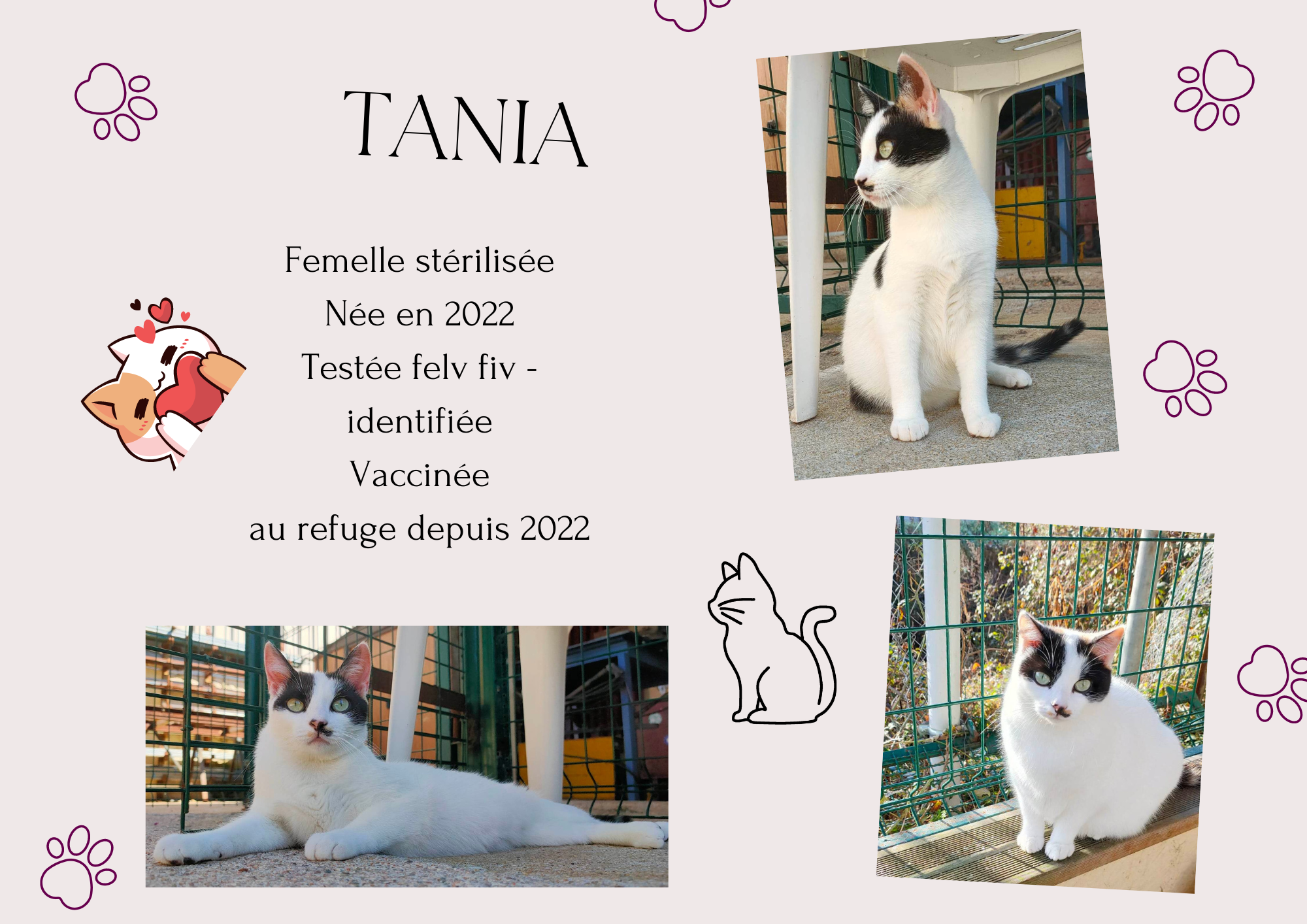 Tania
