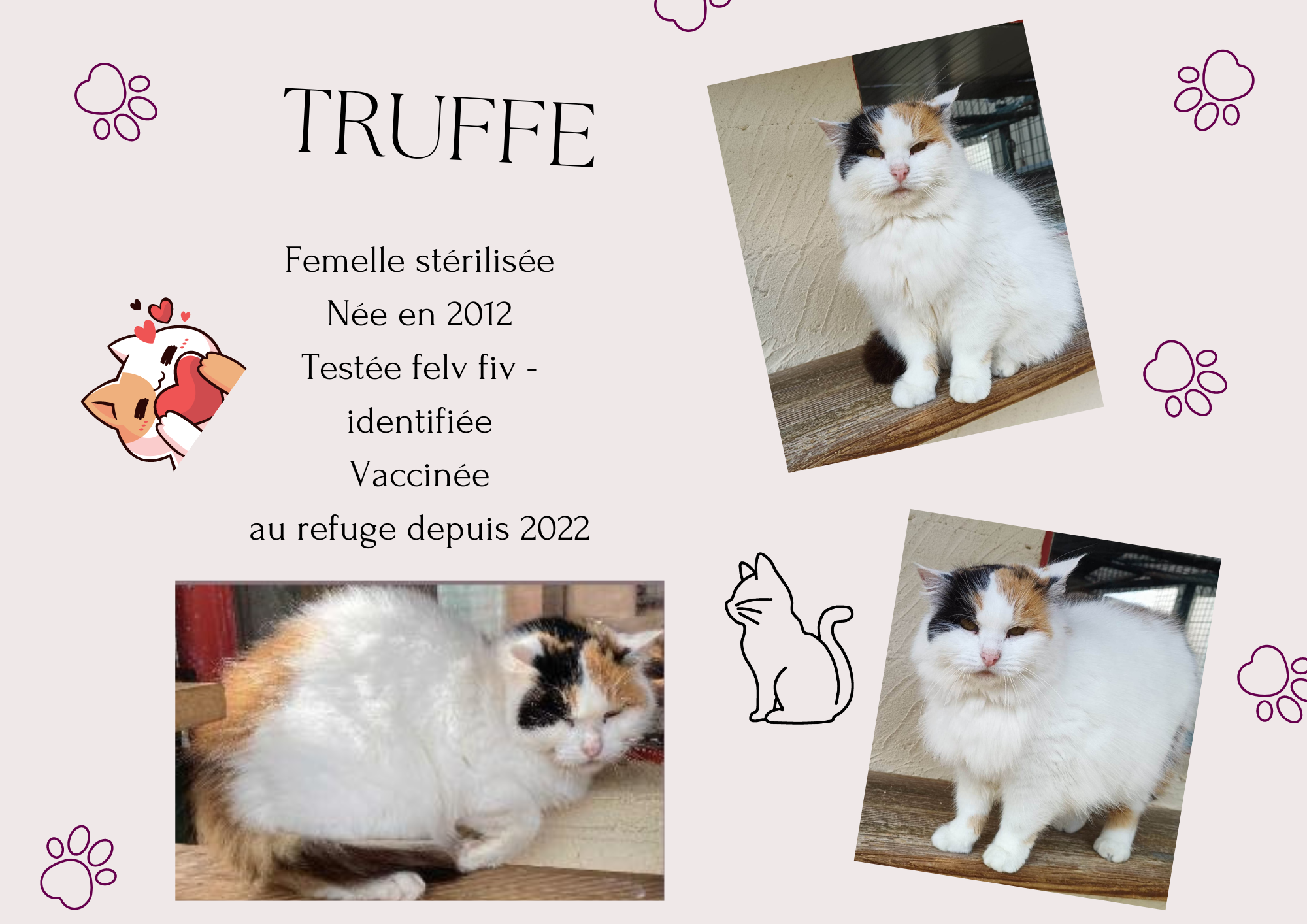 Truffe