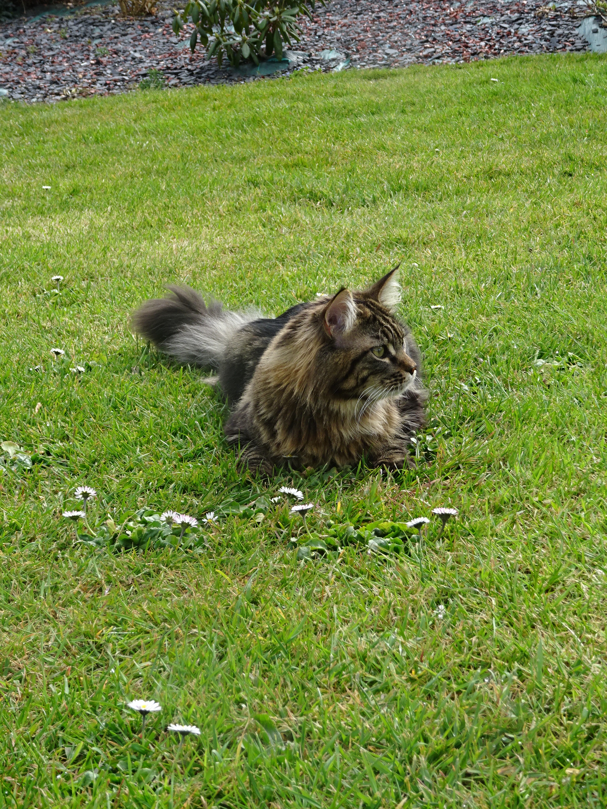 Dsc04691