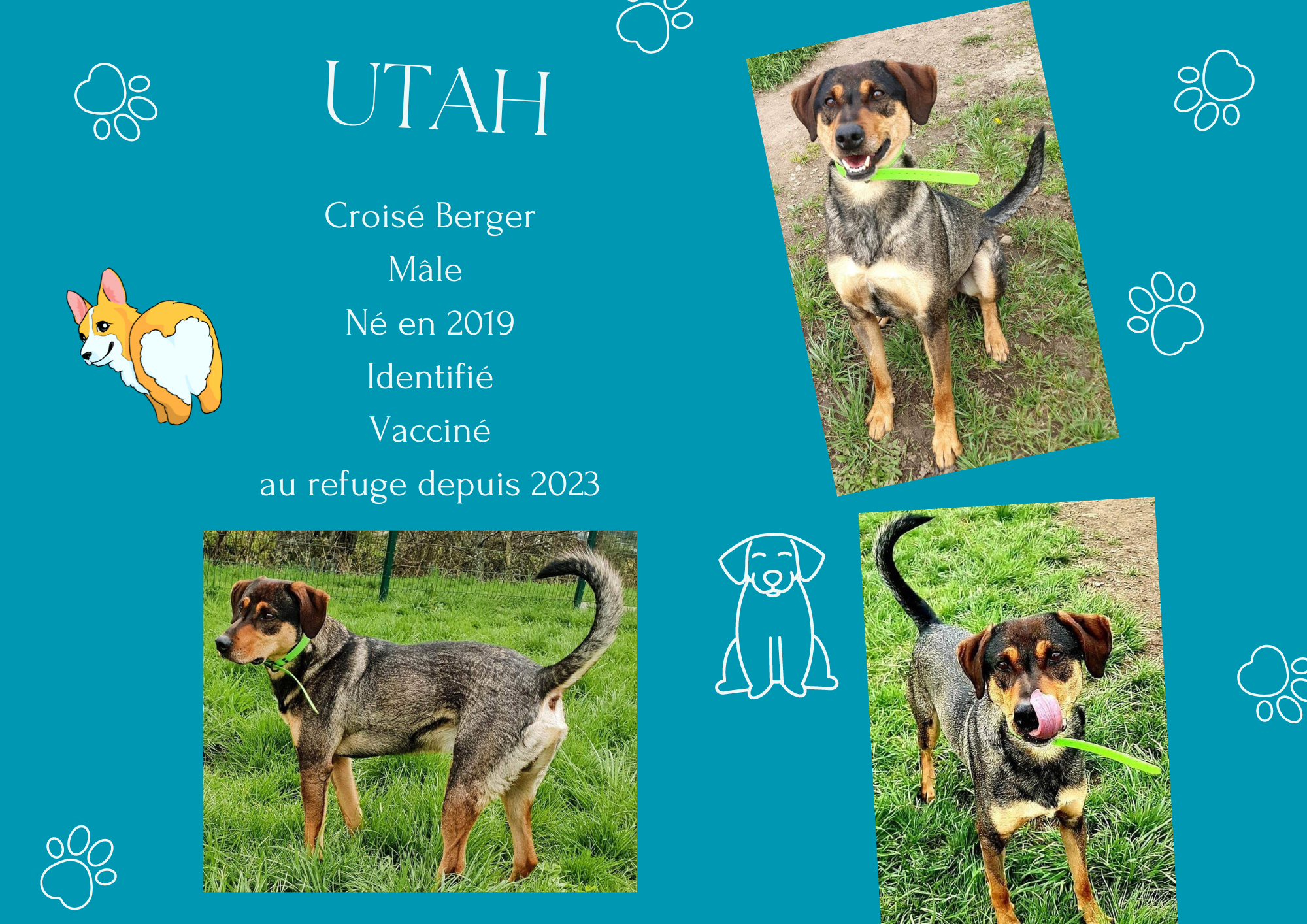 Utah