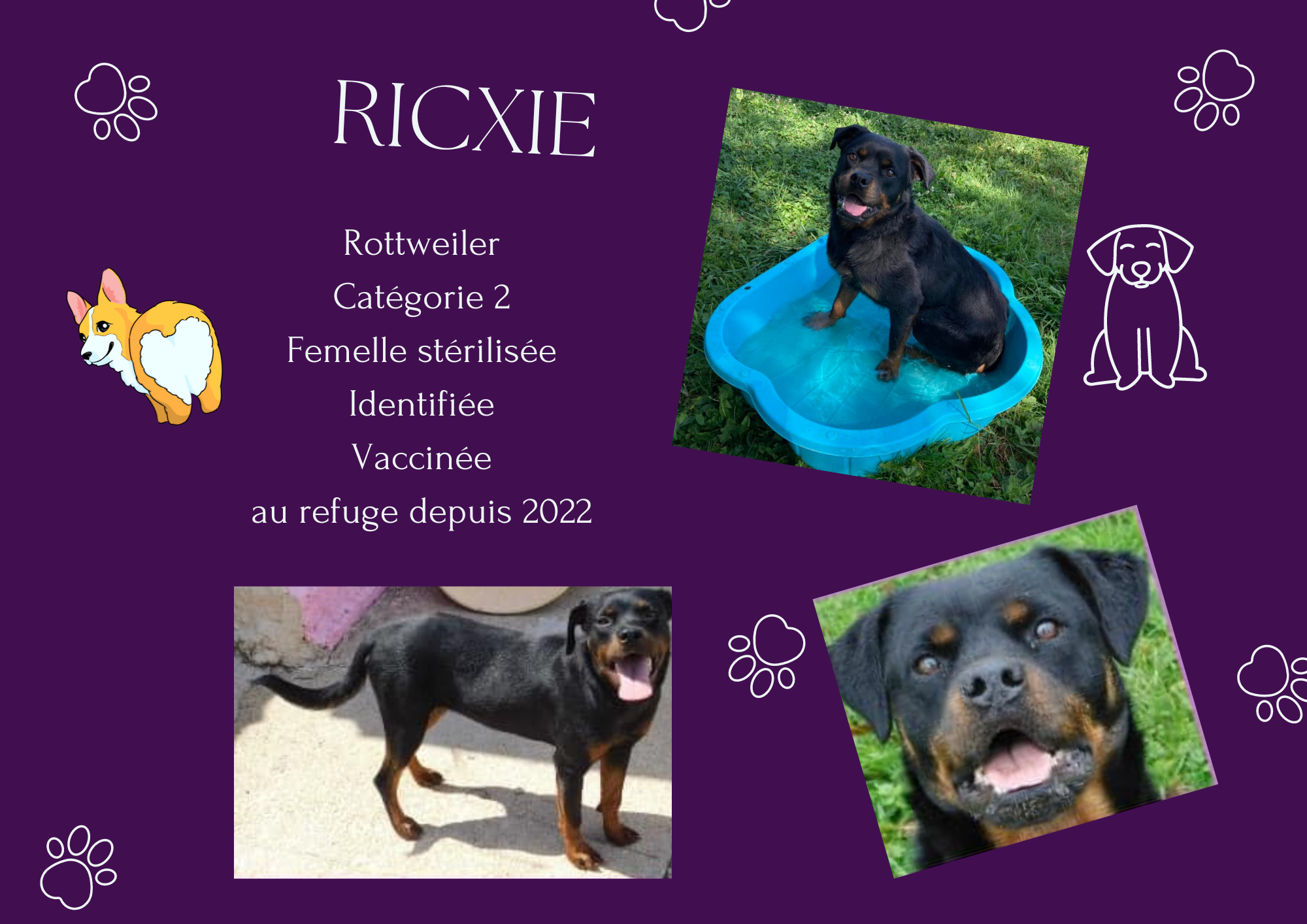 Ricxie