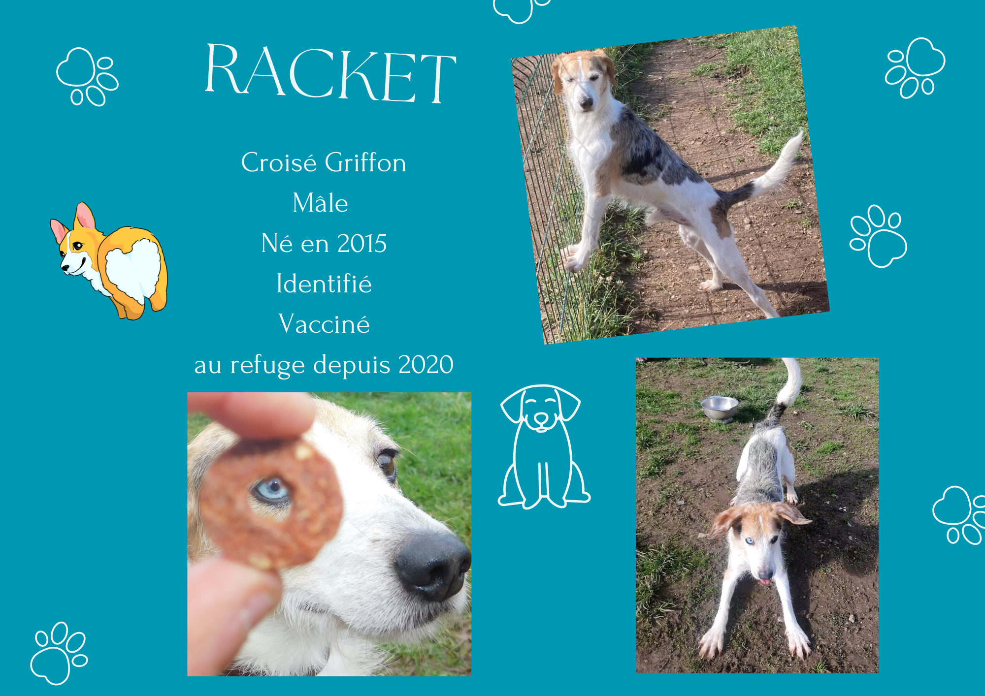 Racket