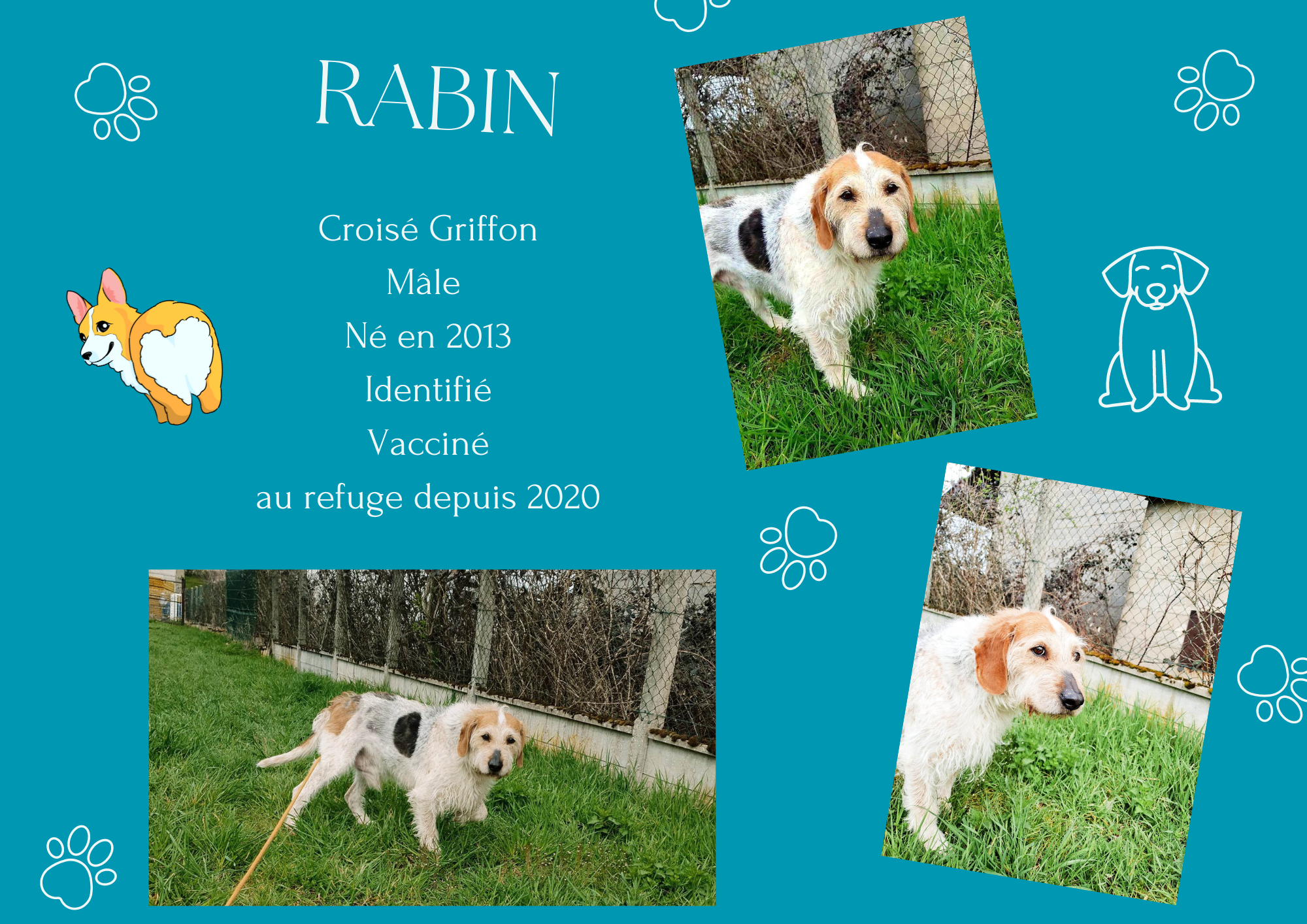 Rabin