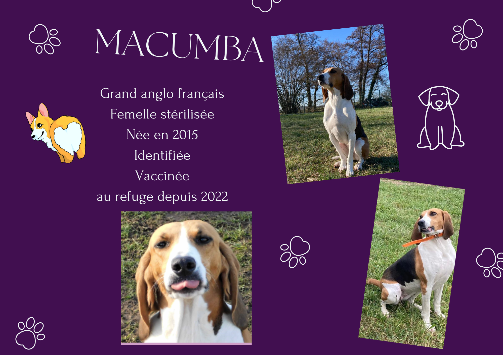 Macumba