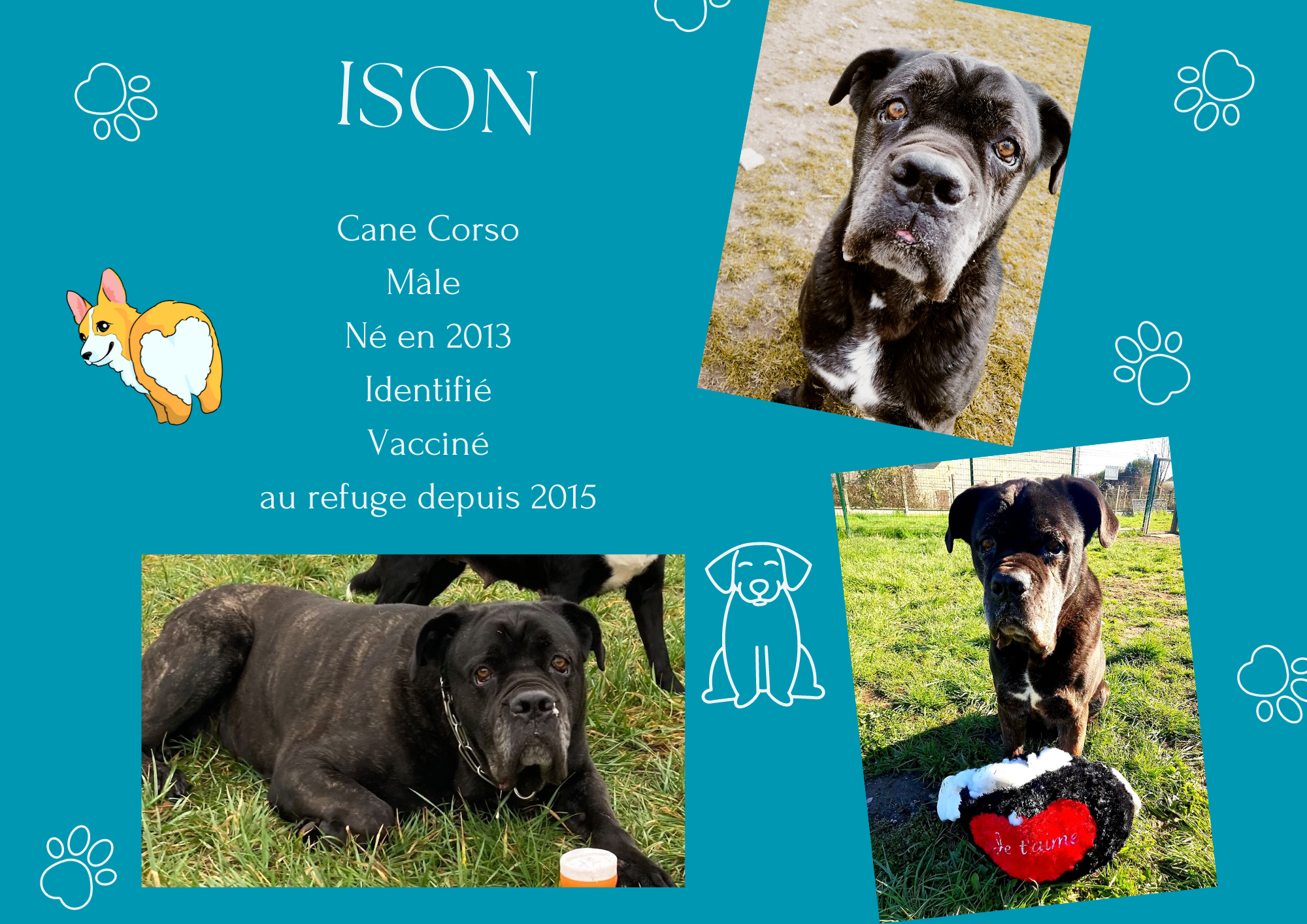 Ison