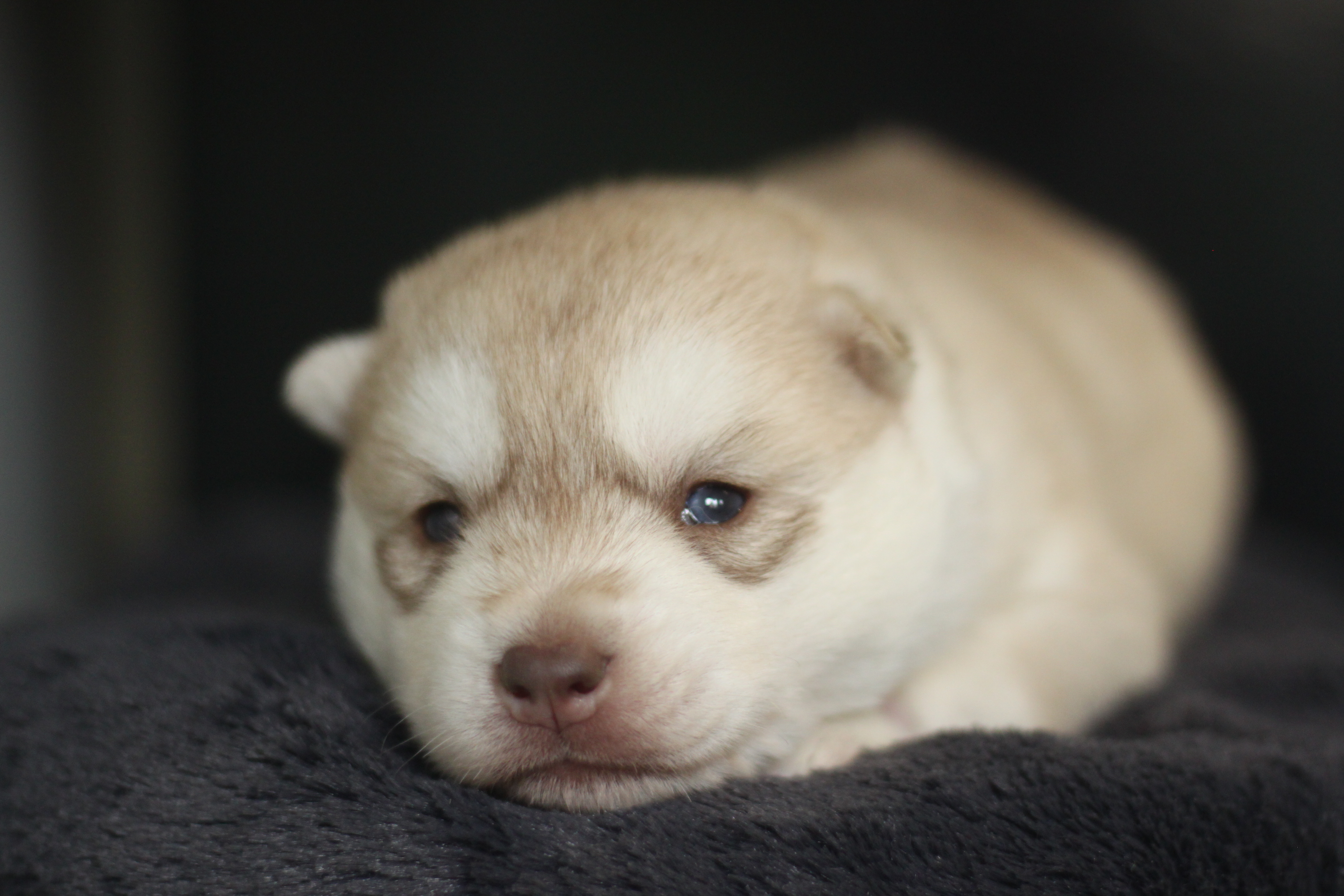 Naissance du 2 février 2026