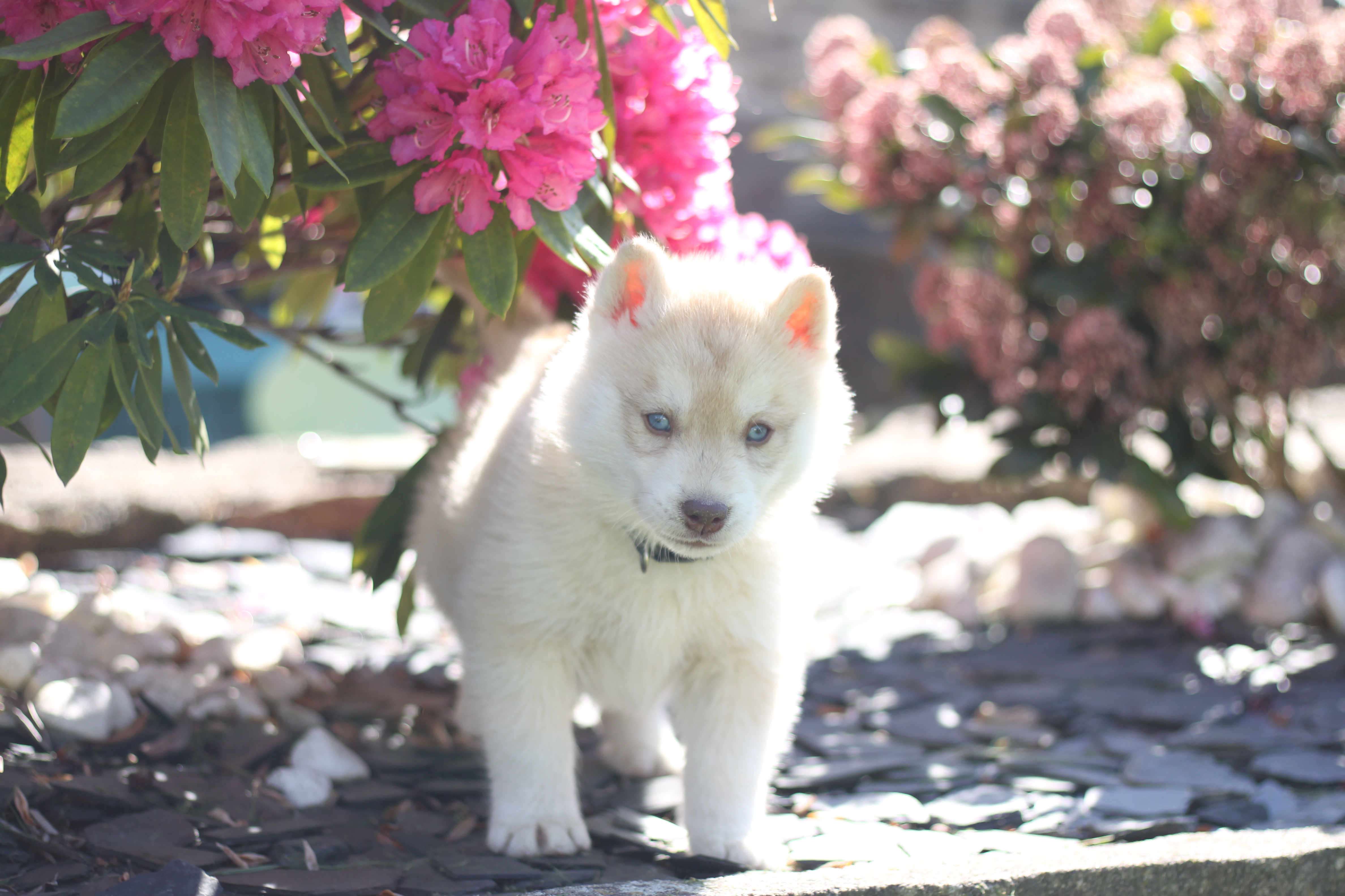 Naissance du 2 février 2026