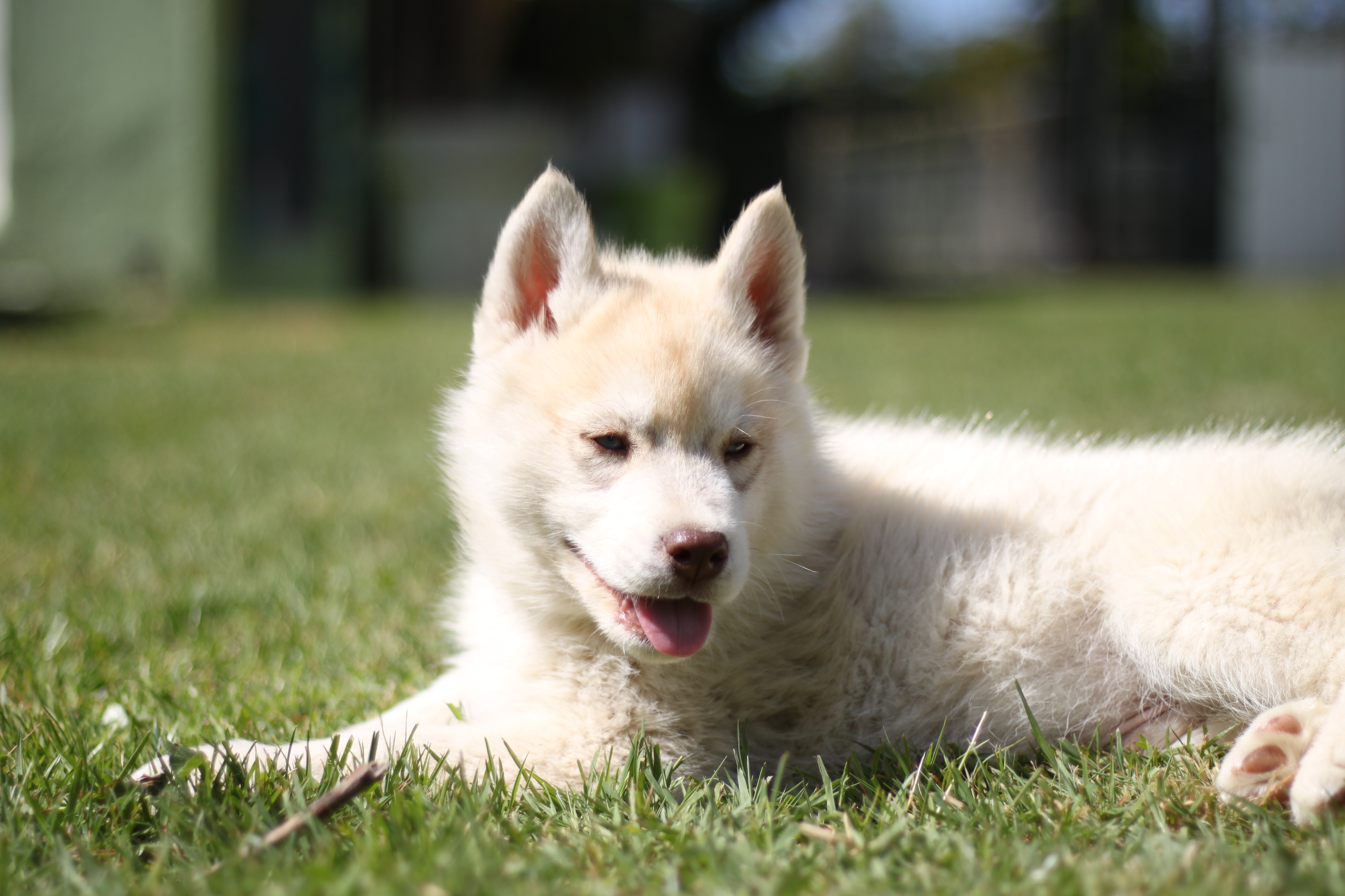 Naissance du 2 février 2026