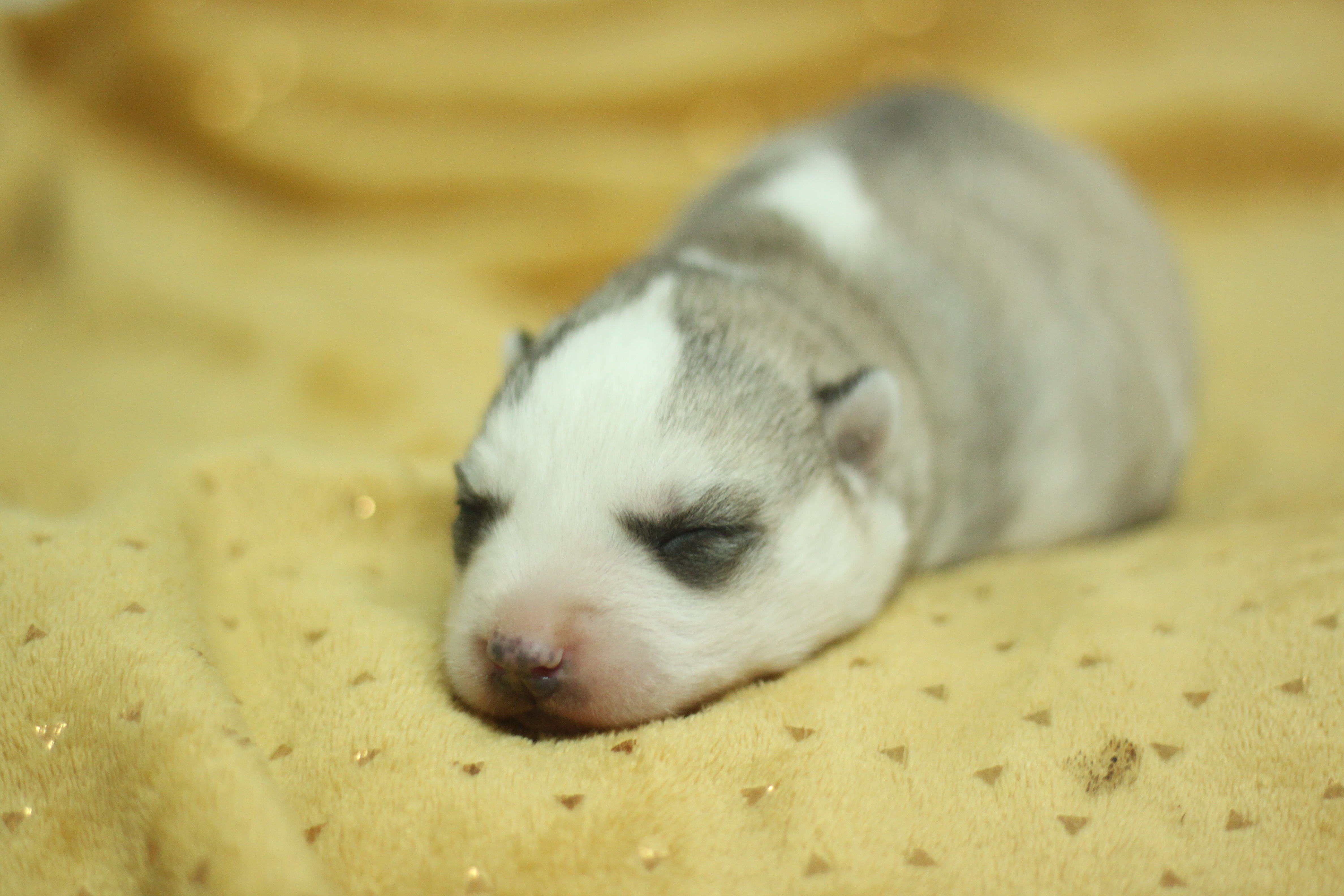 Naissance du 30 décembre 2025