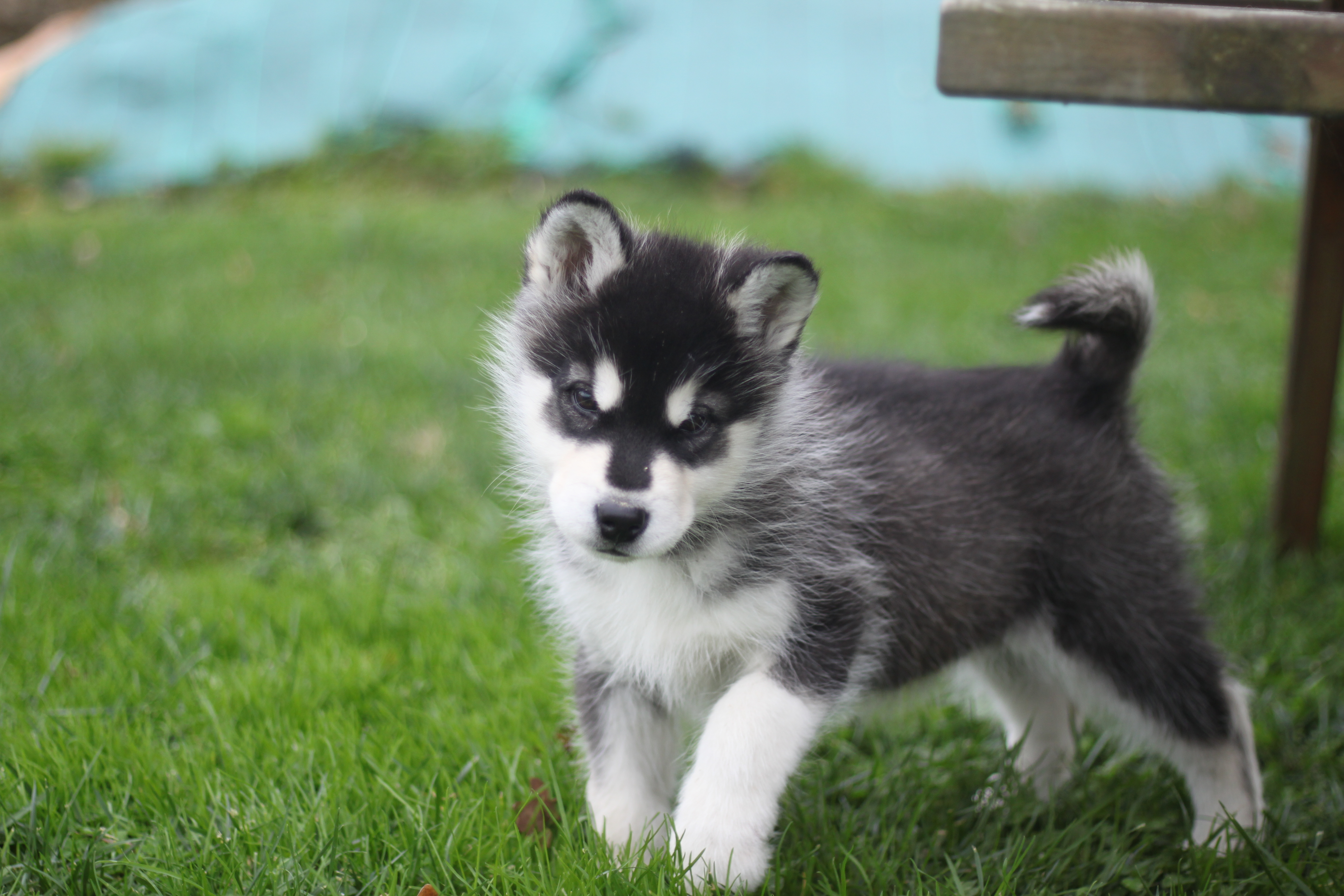 Naissance du 30 août 2025