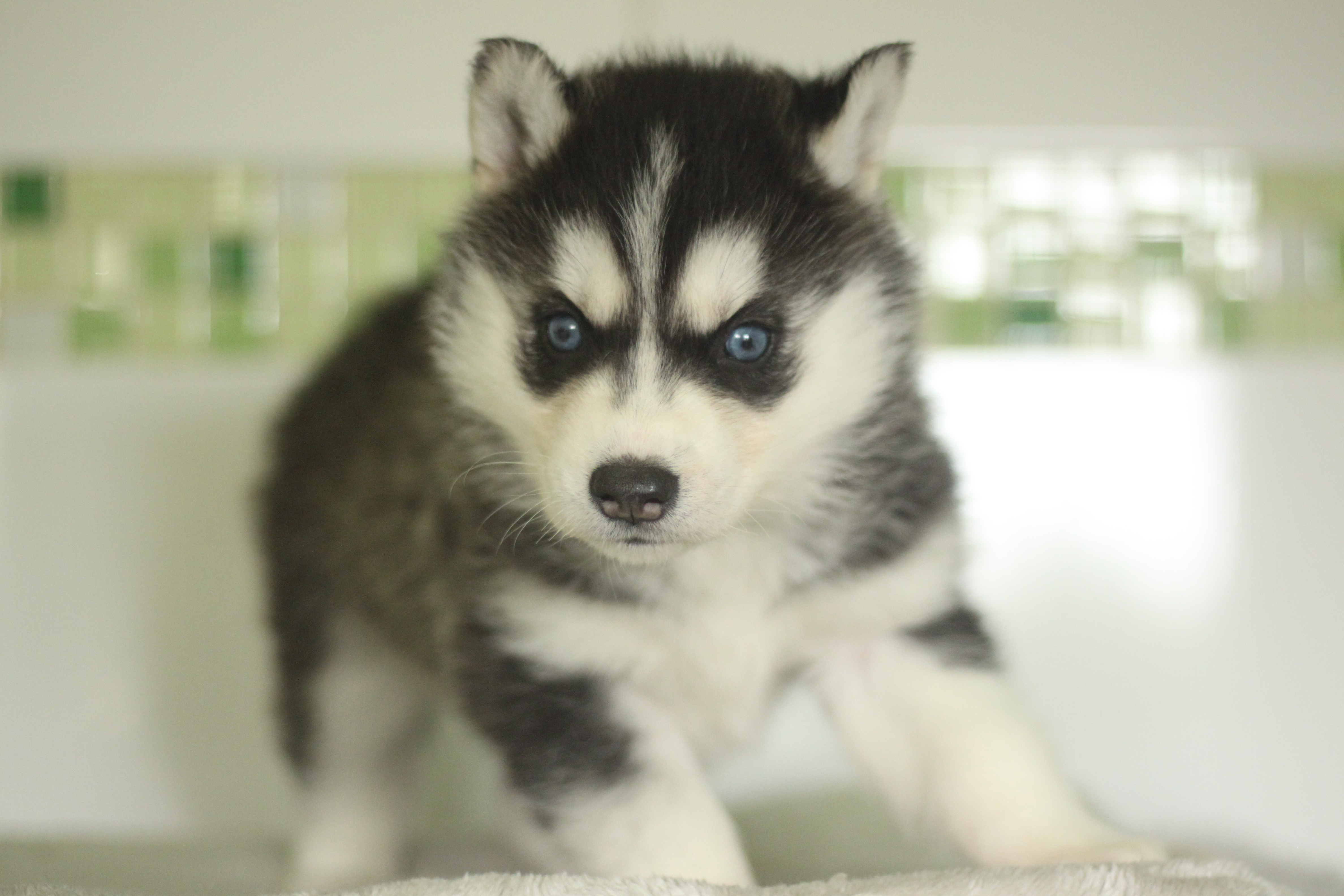 Naissance du 25 décembre 2025