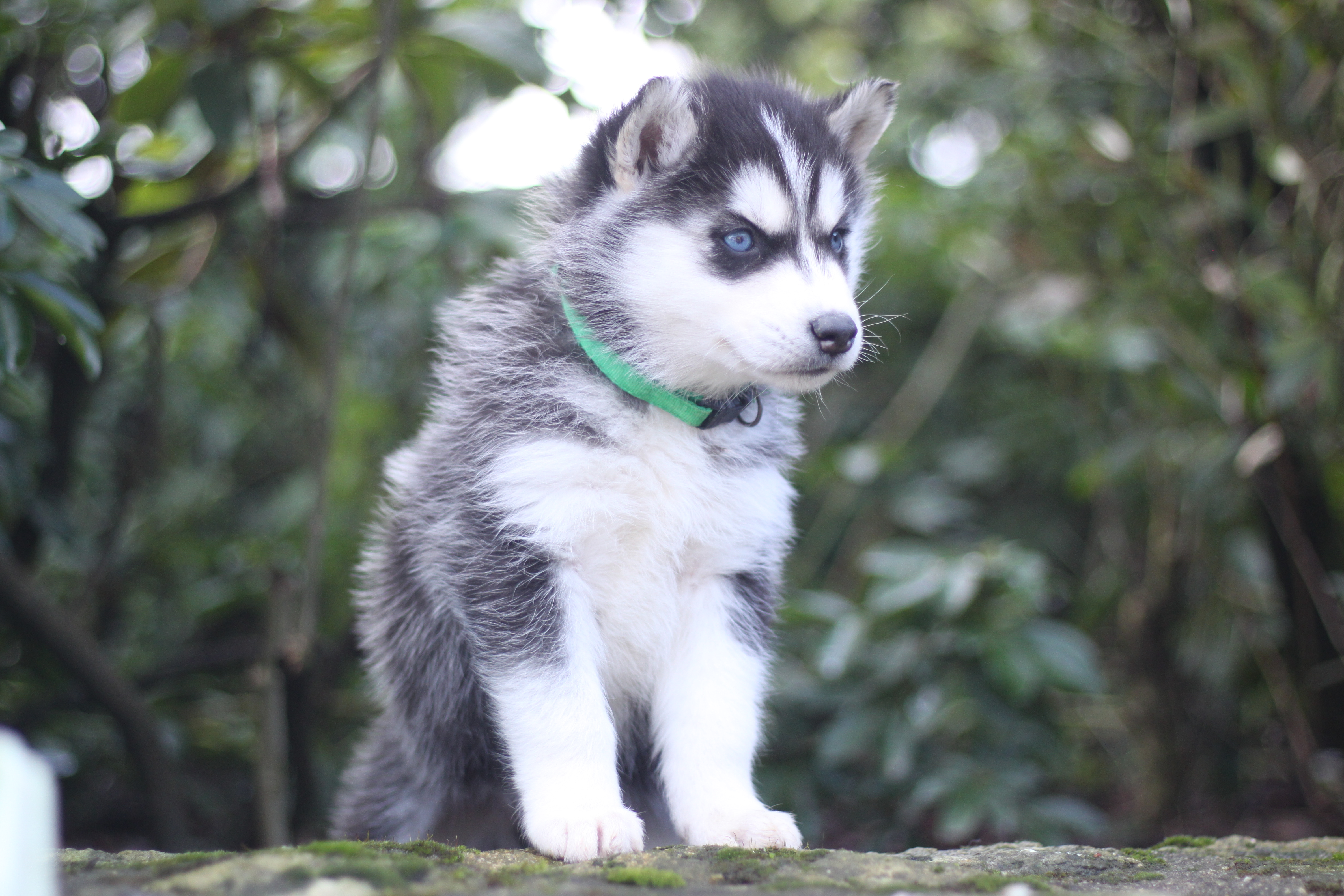 Naissance du 25 décembre 2025