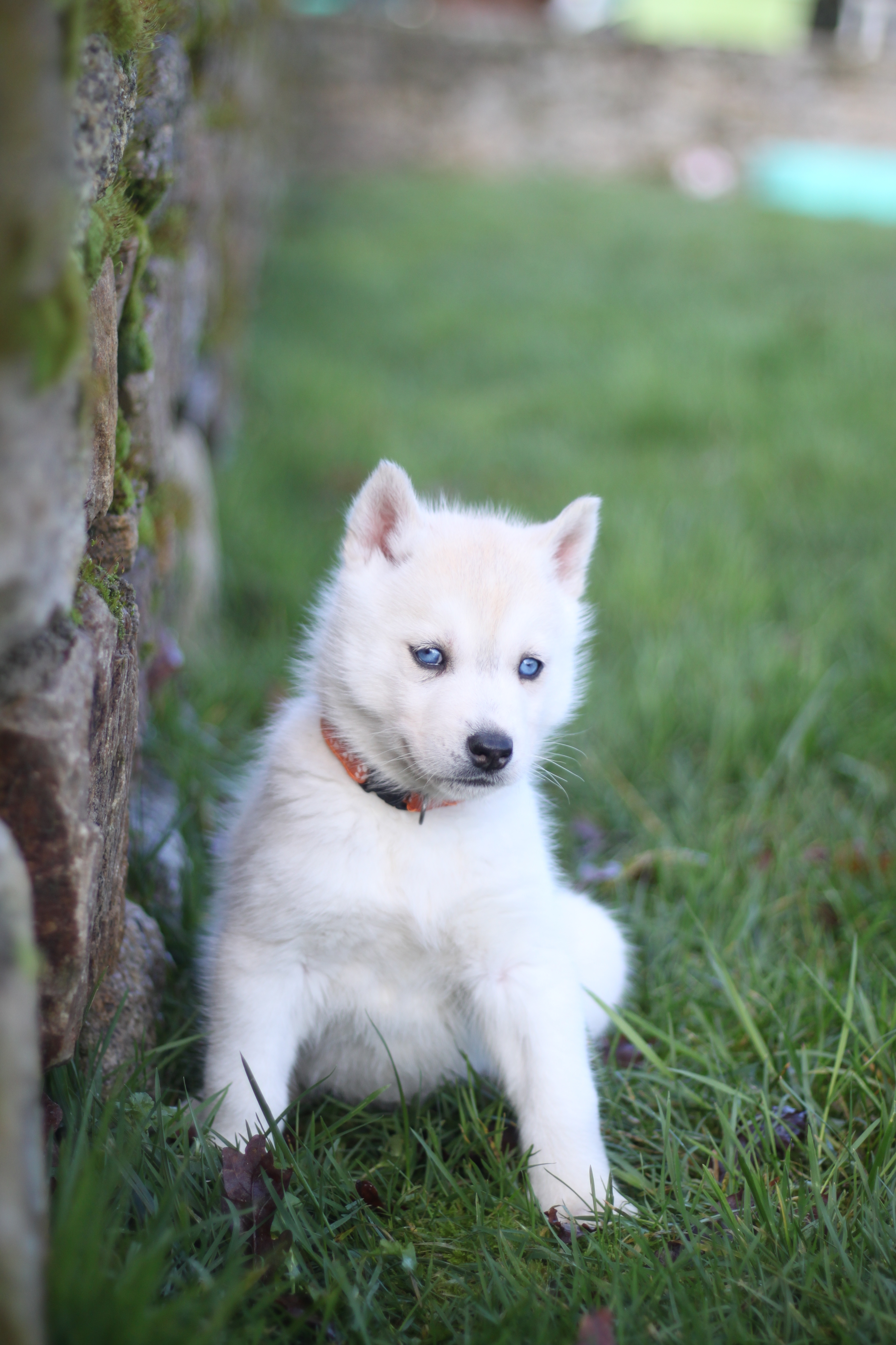 Naissance du 25 décembre 2025