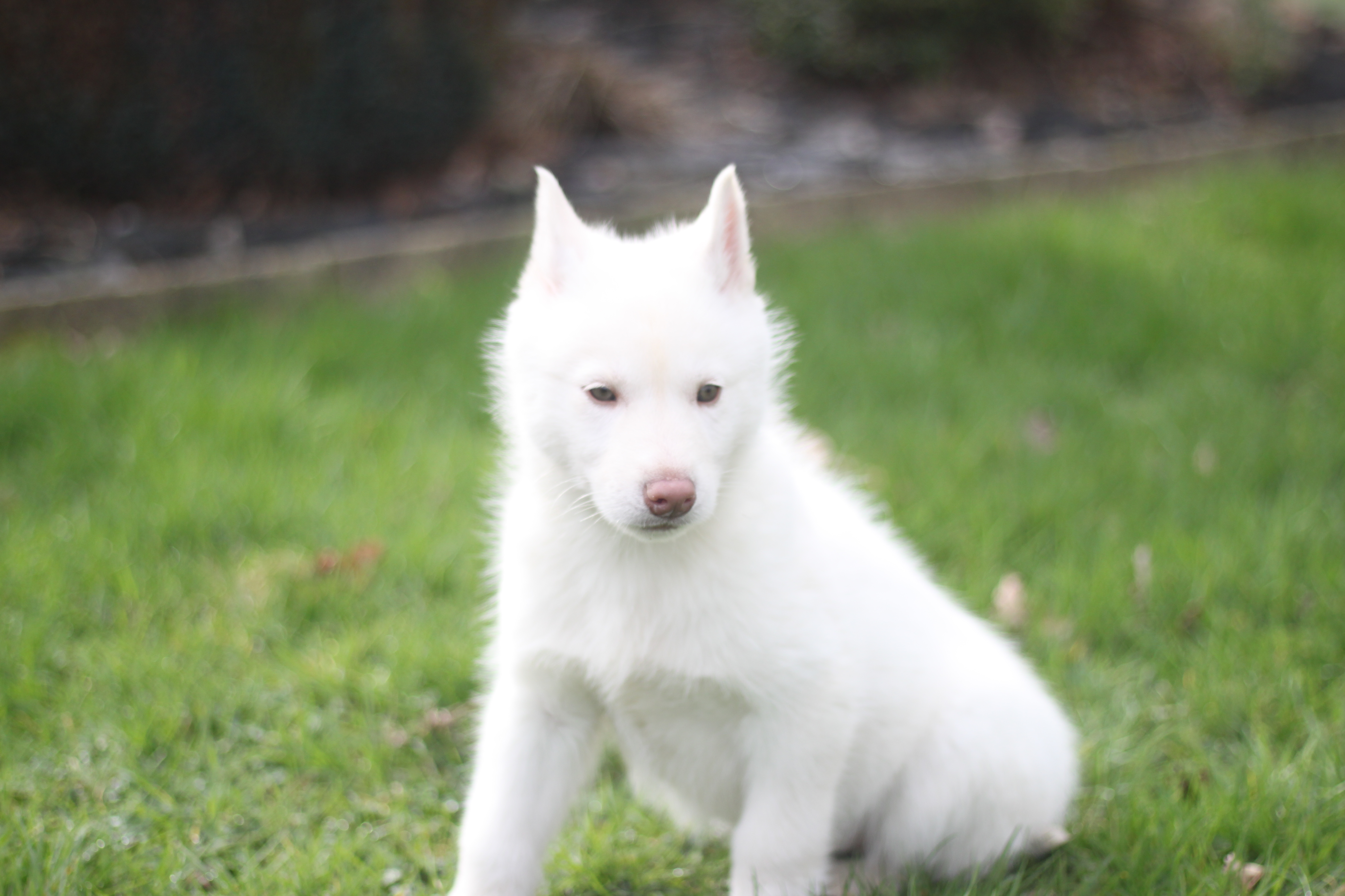 Naissance du 25 décembre 2025