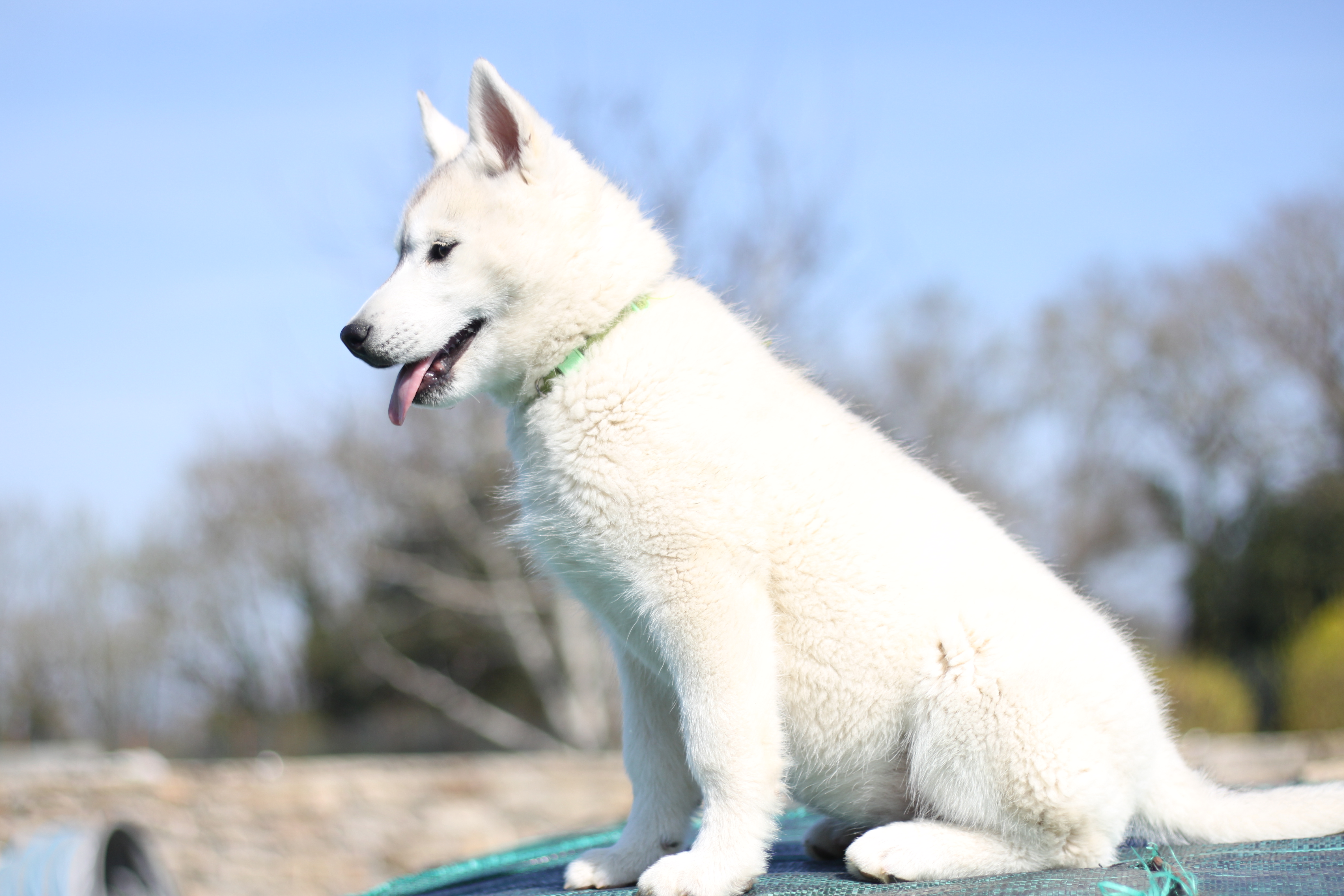 Naissance du 25 décembre 2025