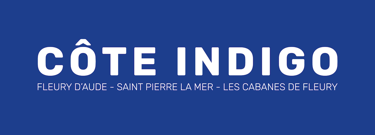 Logo co te indigo