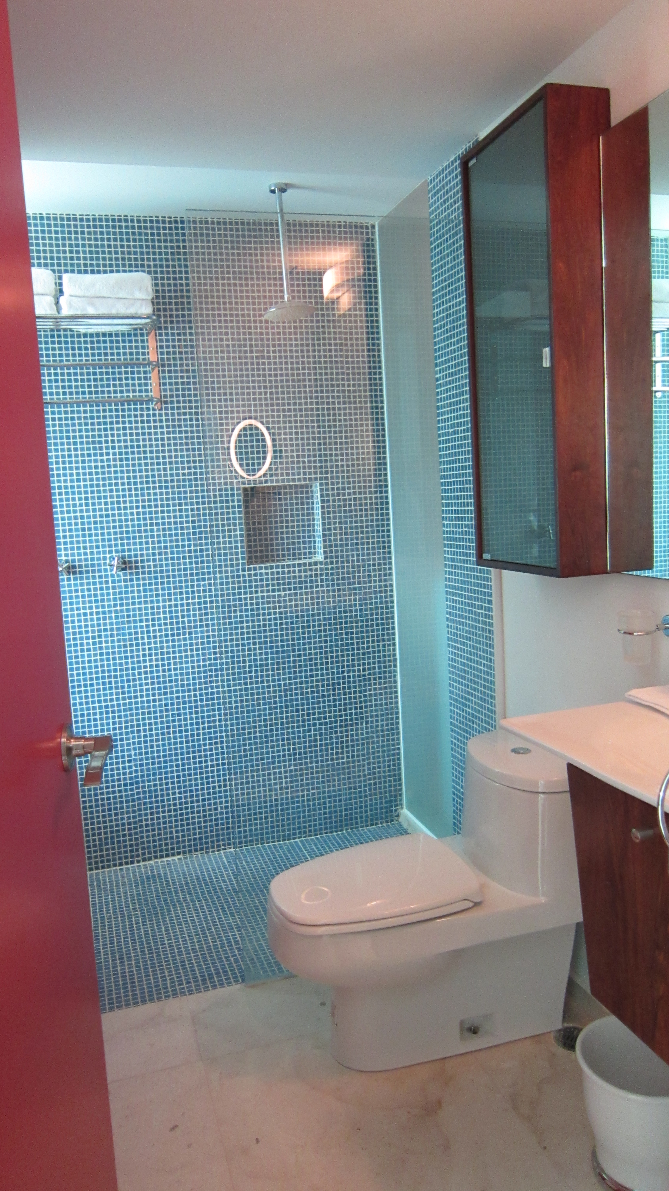 Douche et toilette