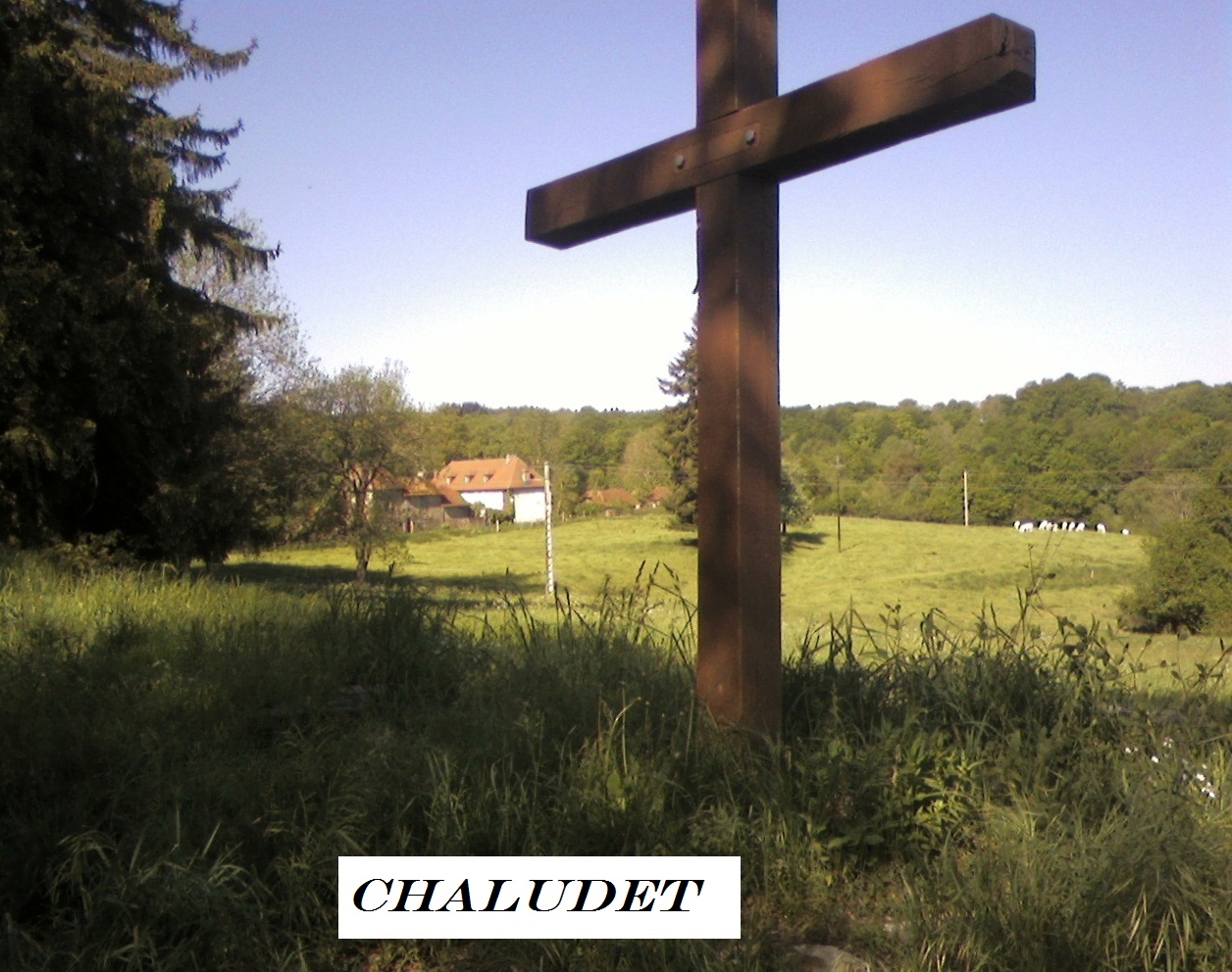 Photo0259