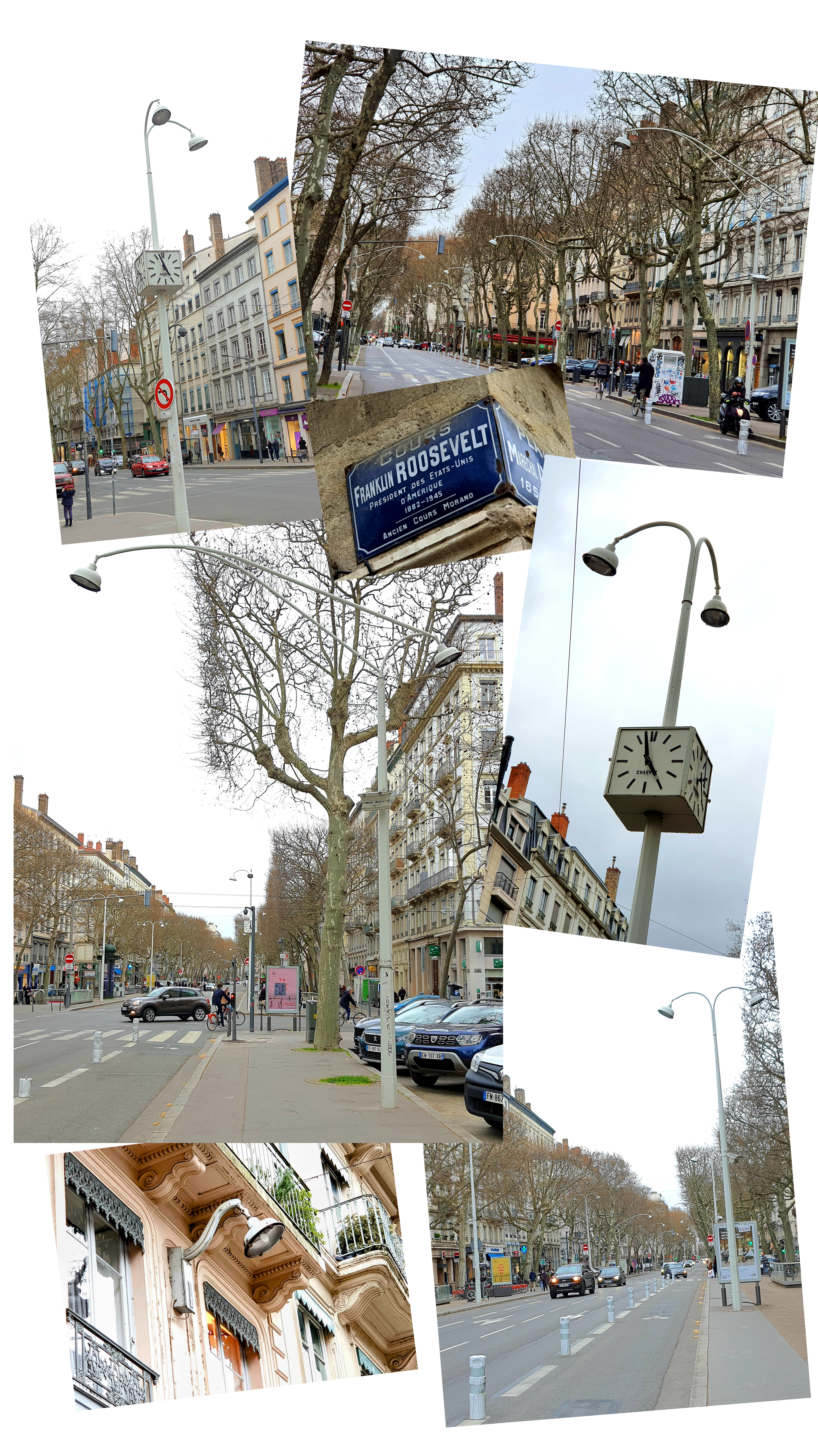Le Cours Franklin Roosevelt à Lyon (69)