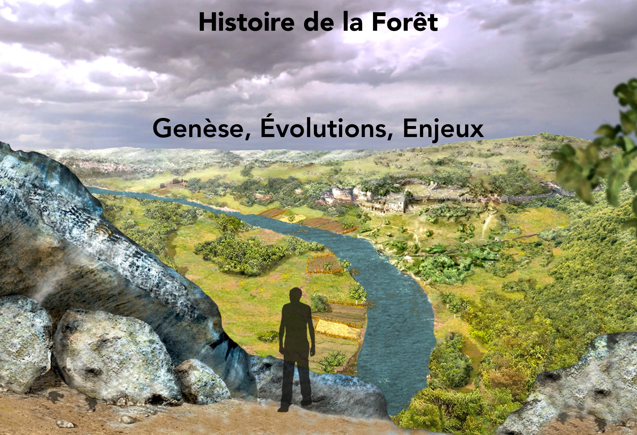 Histoire-de-la-foret- page-0001