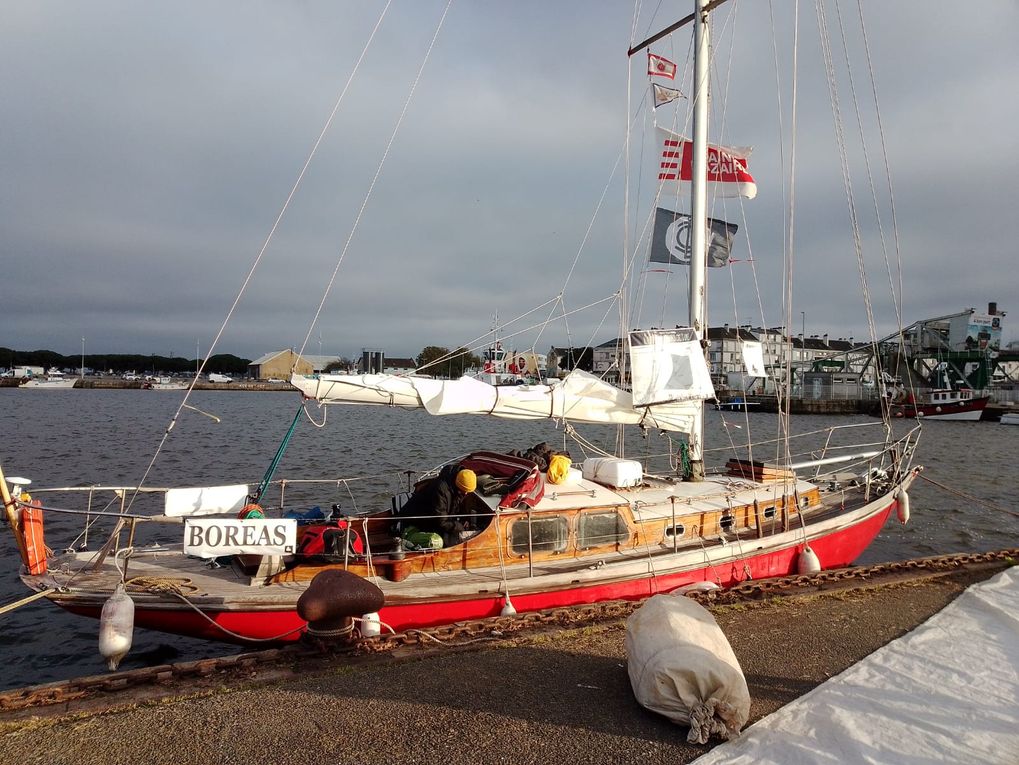 Le Boréas devient Cargo à Voiles ! 