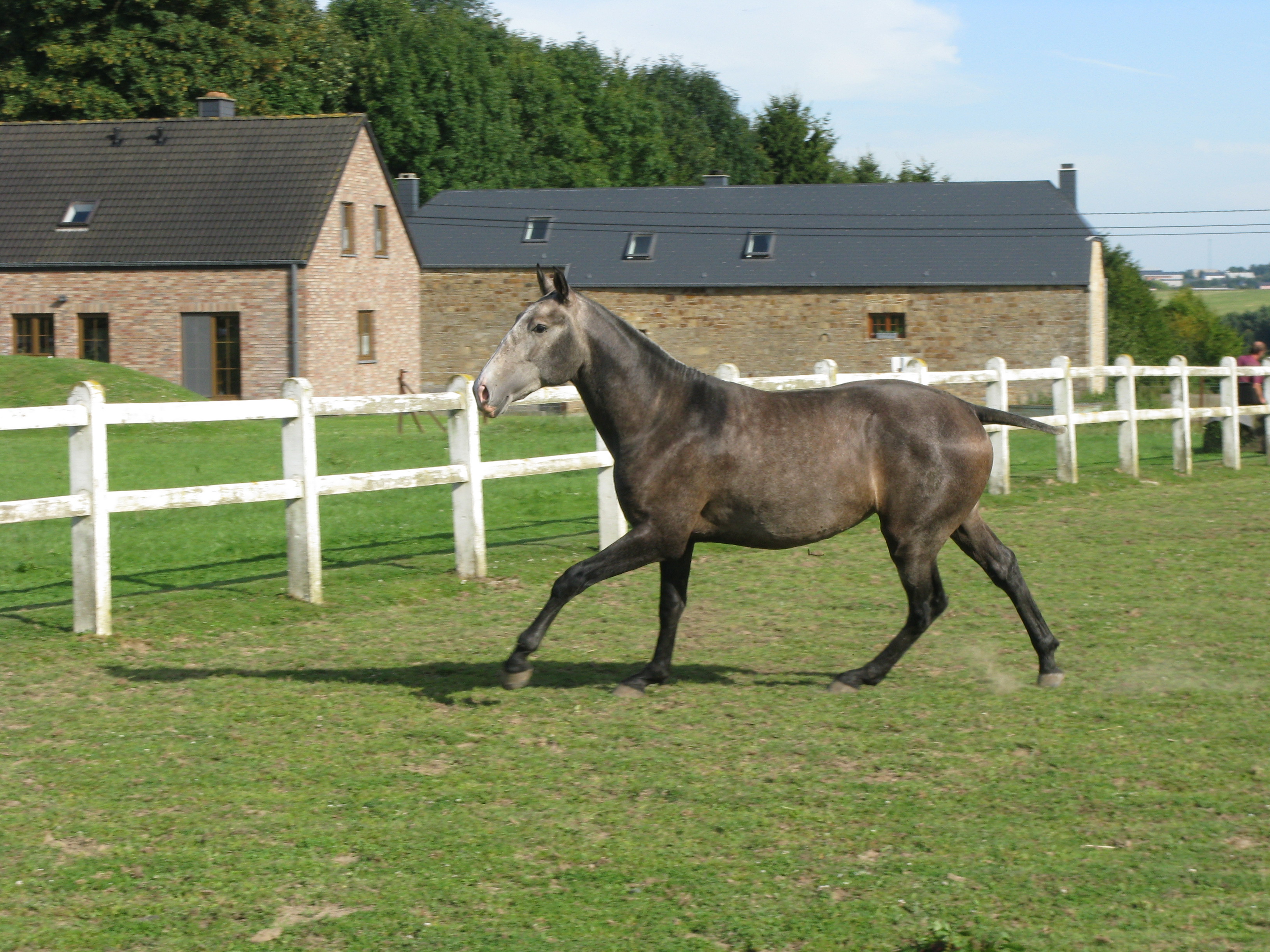 Img 0717