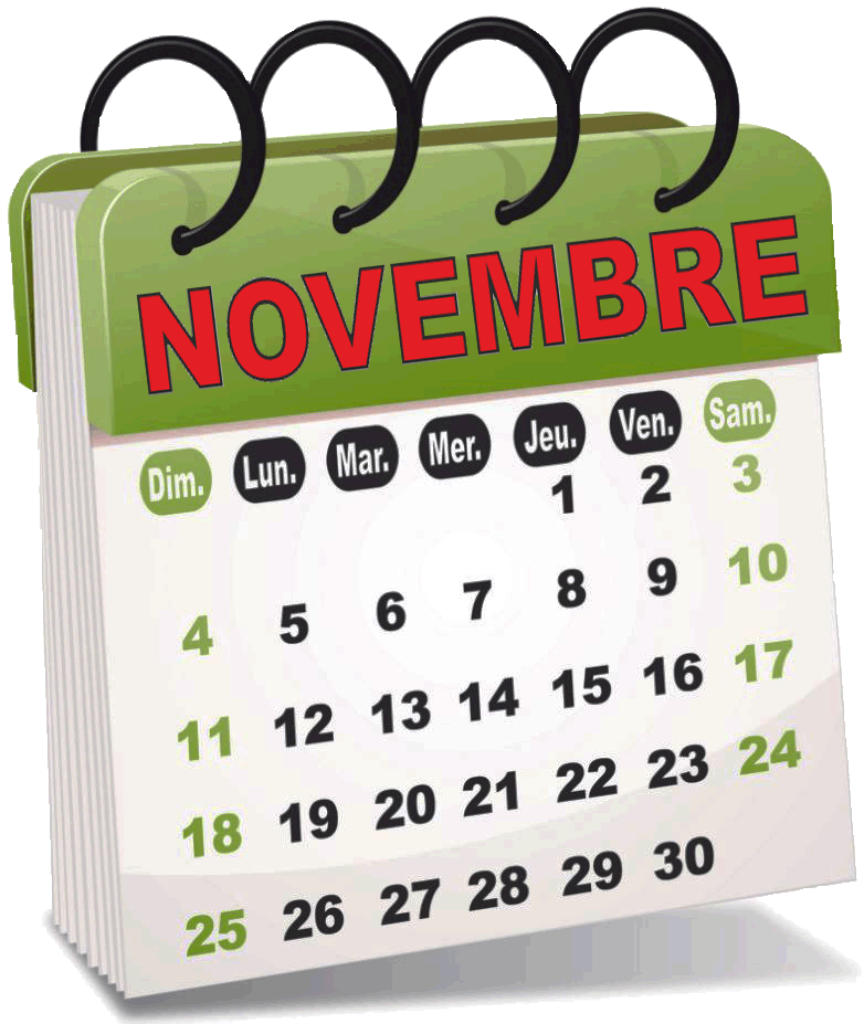 11 novembre