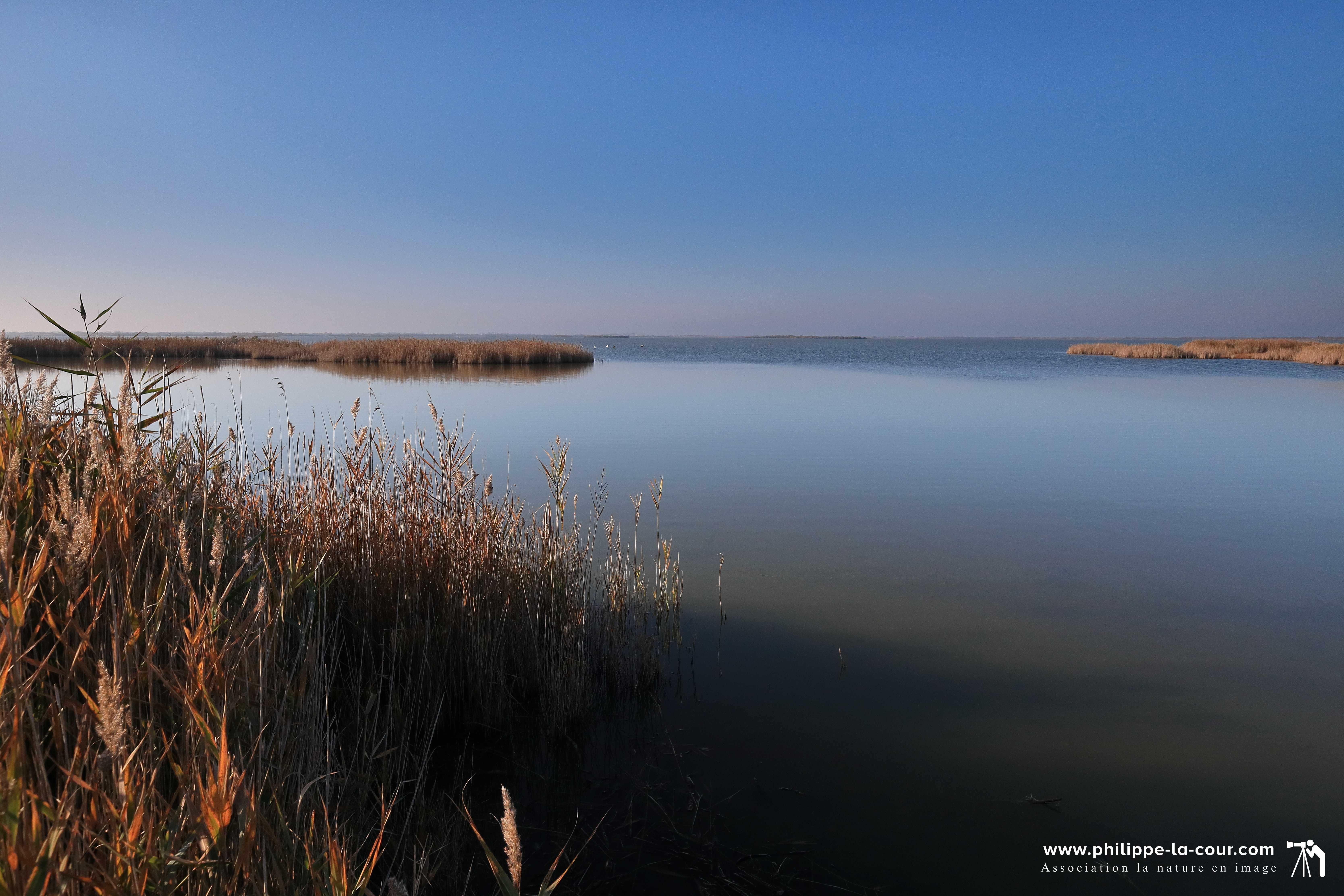 5x8a8357 camargue gardoise resultat