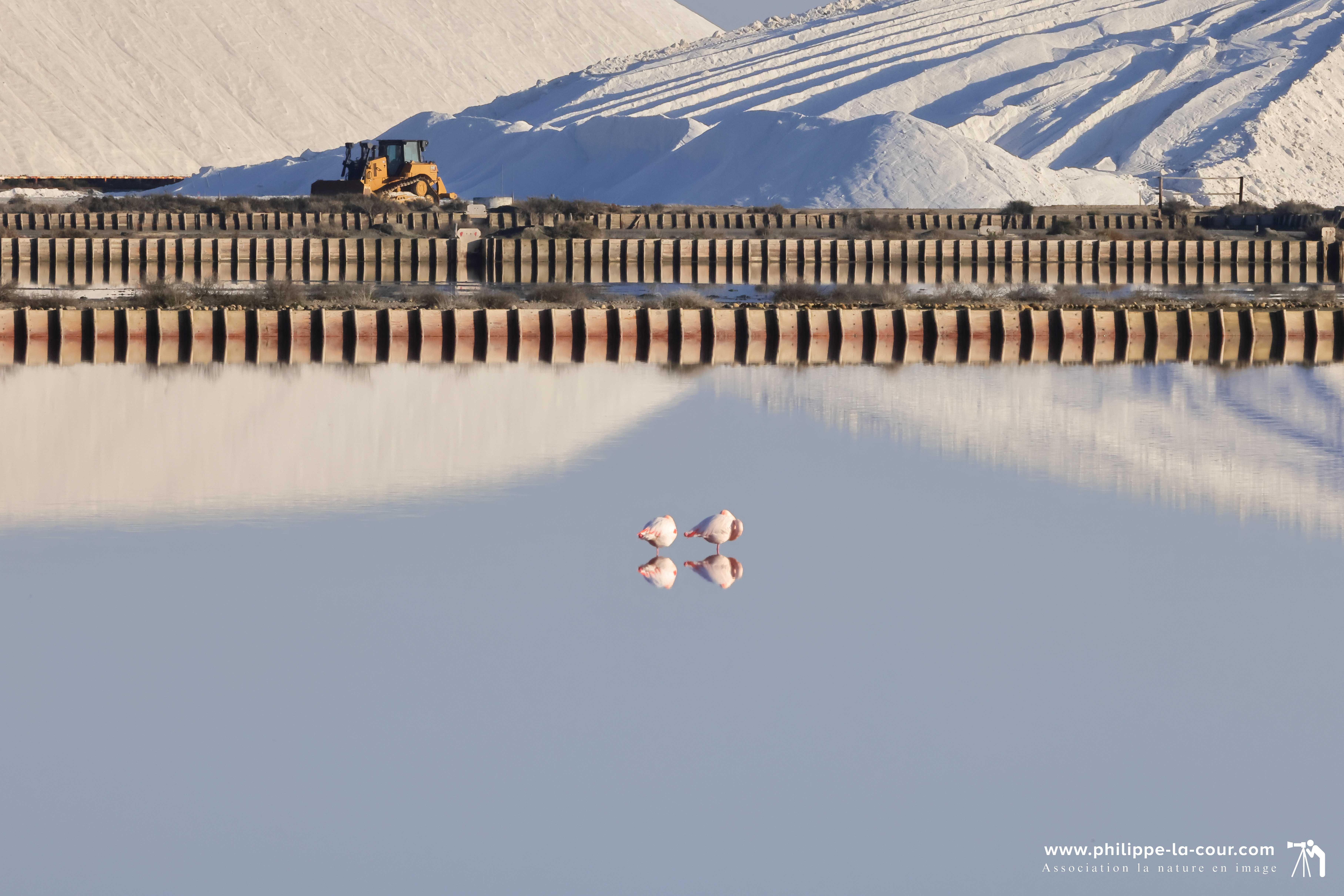 I70a7928 salins du midi resultat