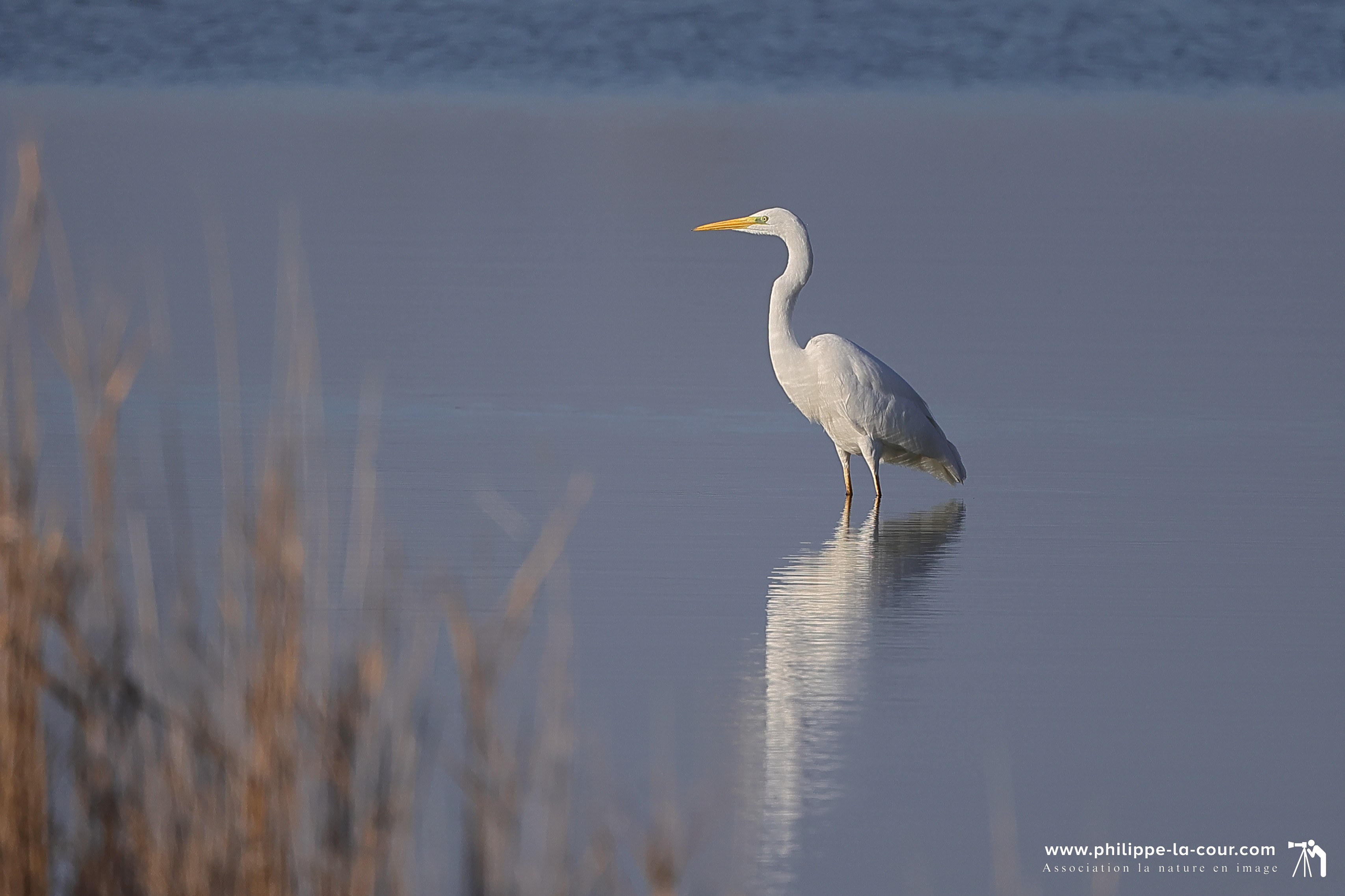 4x3a2023 grande aigrette resultat