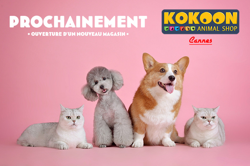 Prochain magasin
