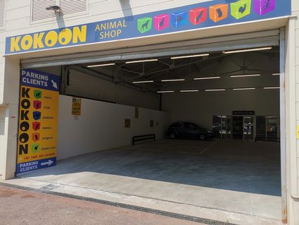 Kokoon cannes 1280 2