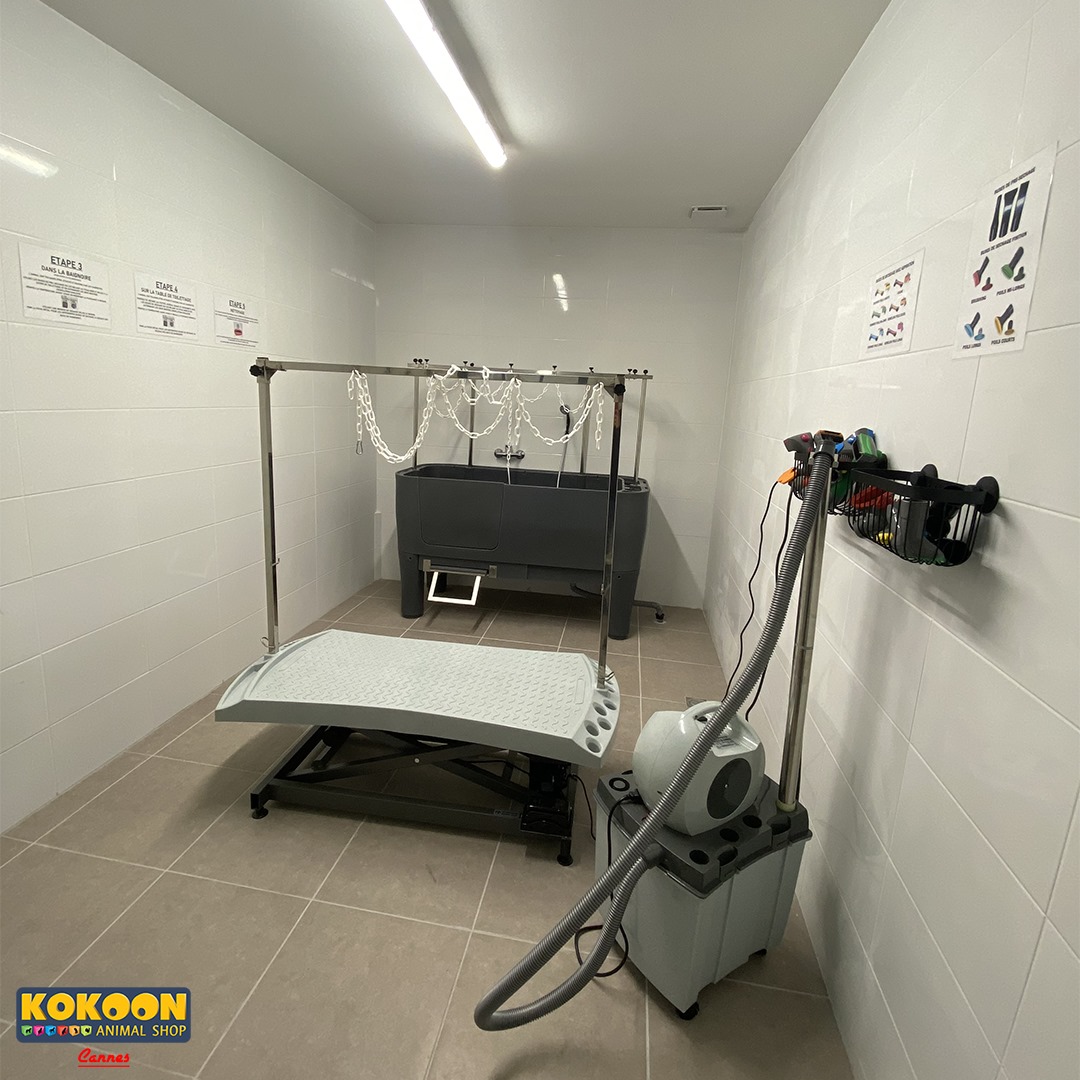 Cabine toilettage canin kokoon cannes