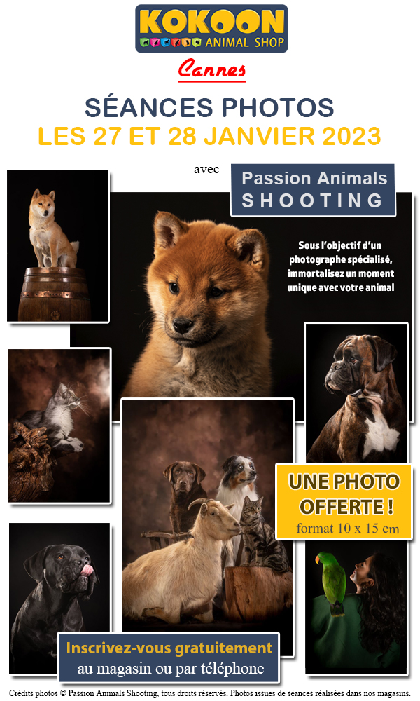 Cannes les 27-28/01