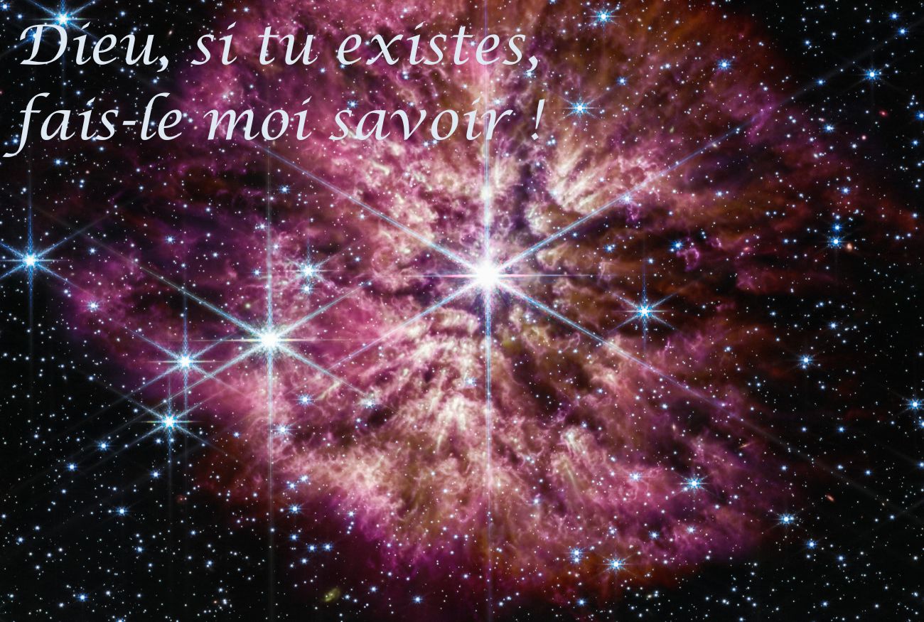 Sans titre 1300 875 px 