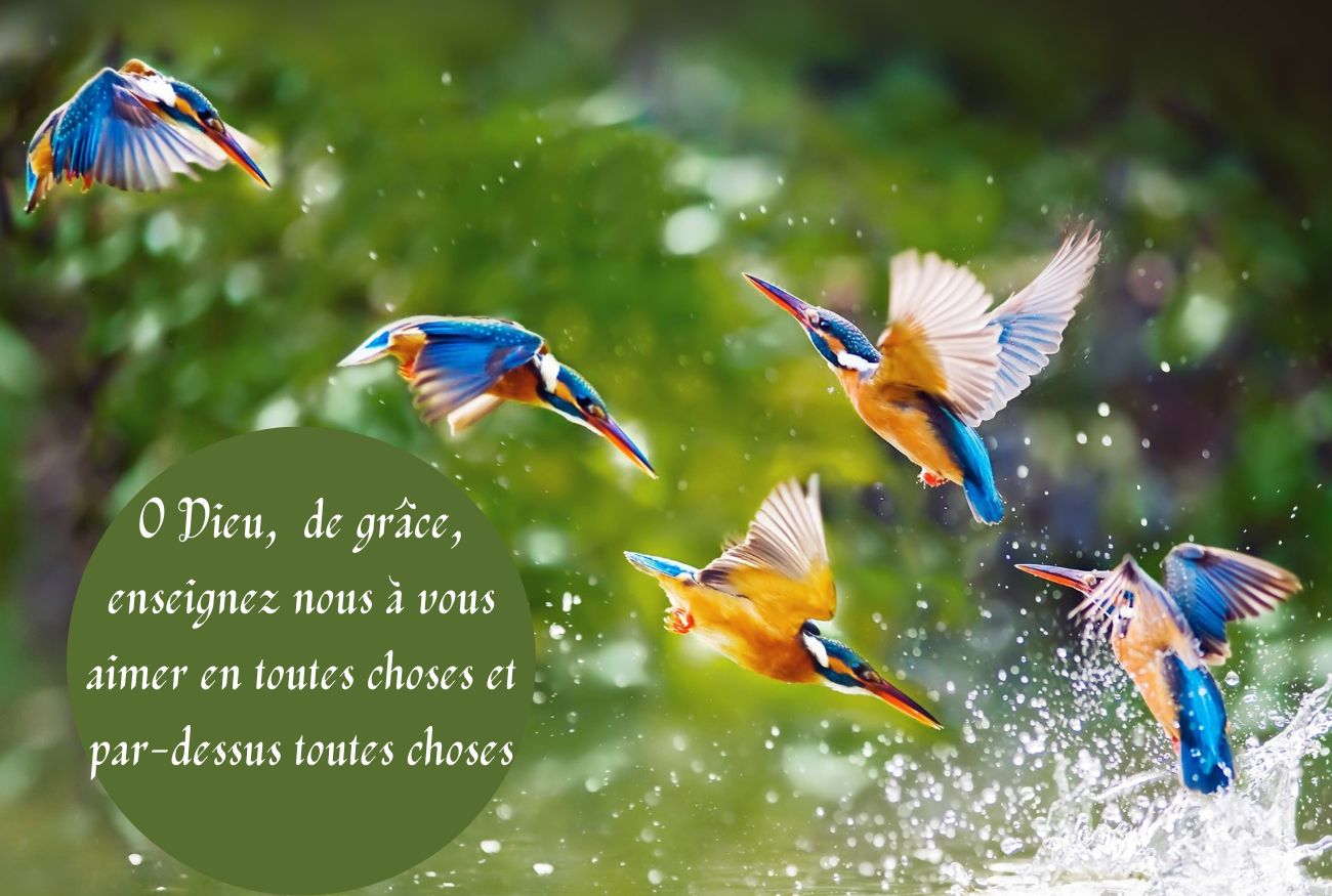 Sans titre 1300 875 px 1 