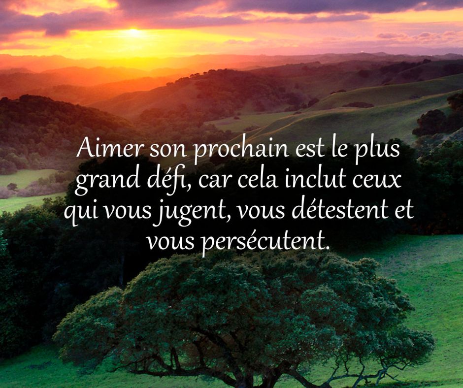 Design sans titre 1 