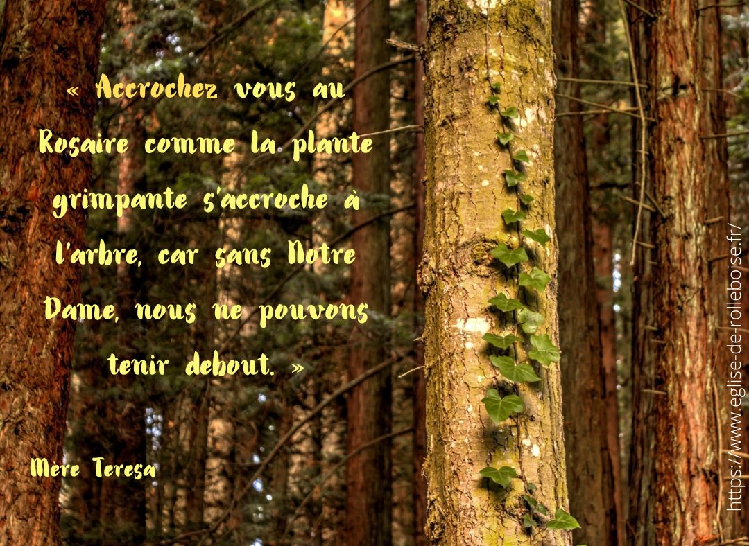 Accrochez vous au rosaire