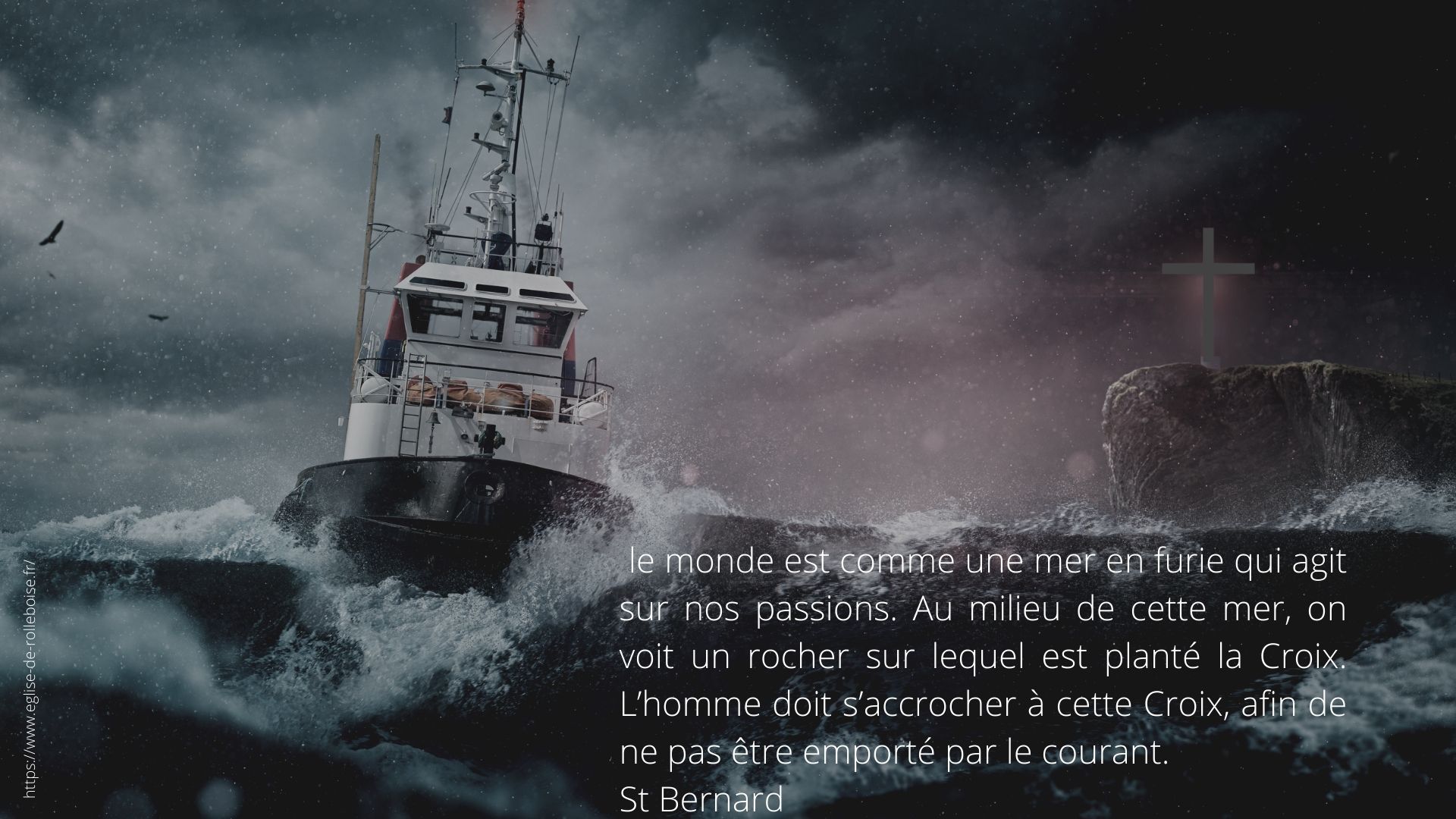 St bernard citation 1 