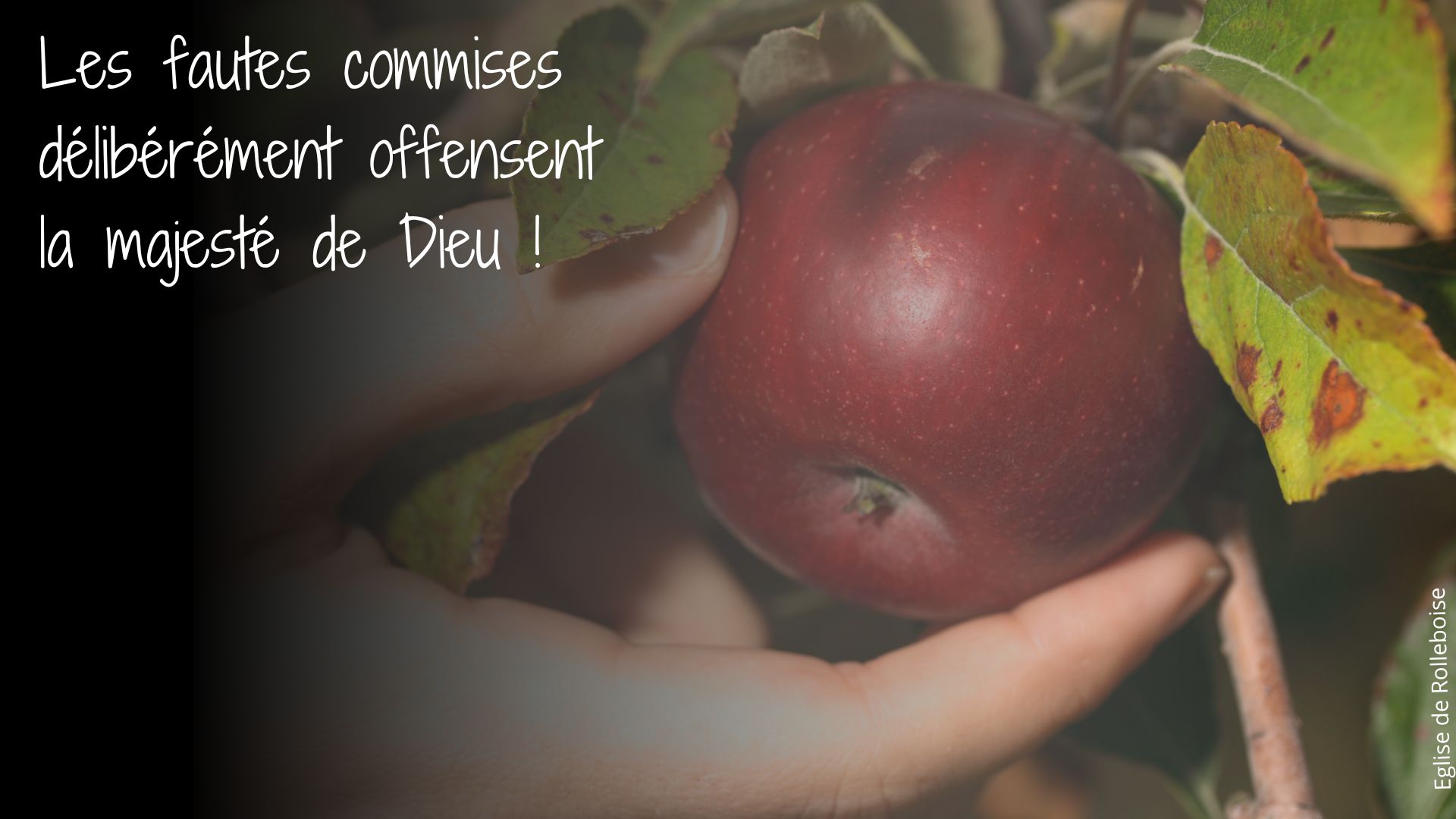 Les fautes commises deliberement 1 