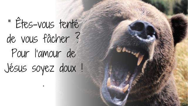 Ne nous fachons pas 640 x 360 px 