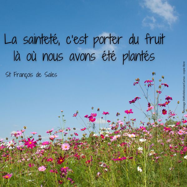 La saintete c est porter du fruit la ou nous avons ete plantes 1 