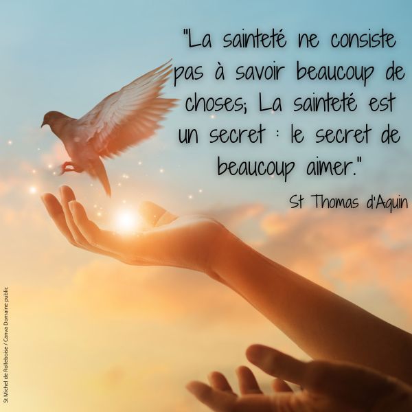 La saintete ne consiste pas a savoir beaucoup de choses la saintete est un secret le secret de beaucoup aimer st thomas d aquin