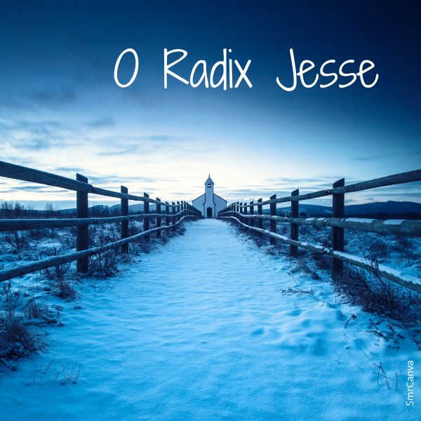 O-Radix-Jesse