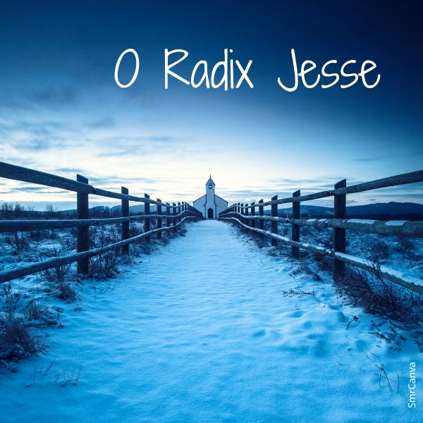 O Radix Jesse